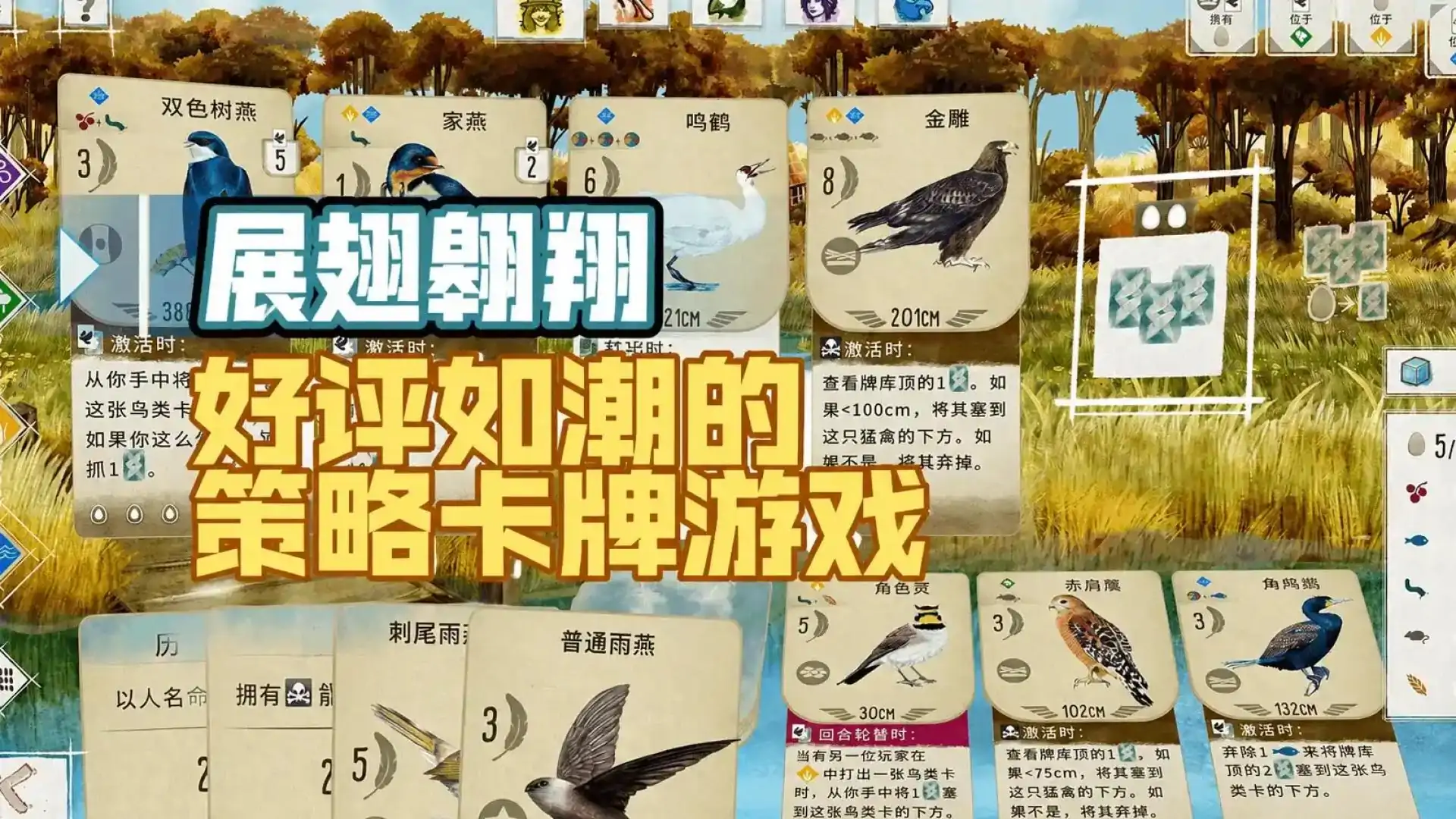 展翅翱翔