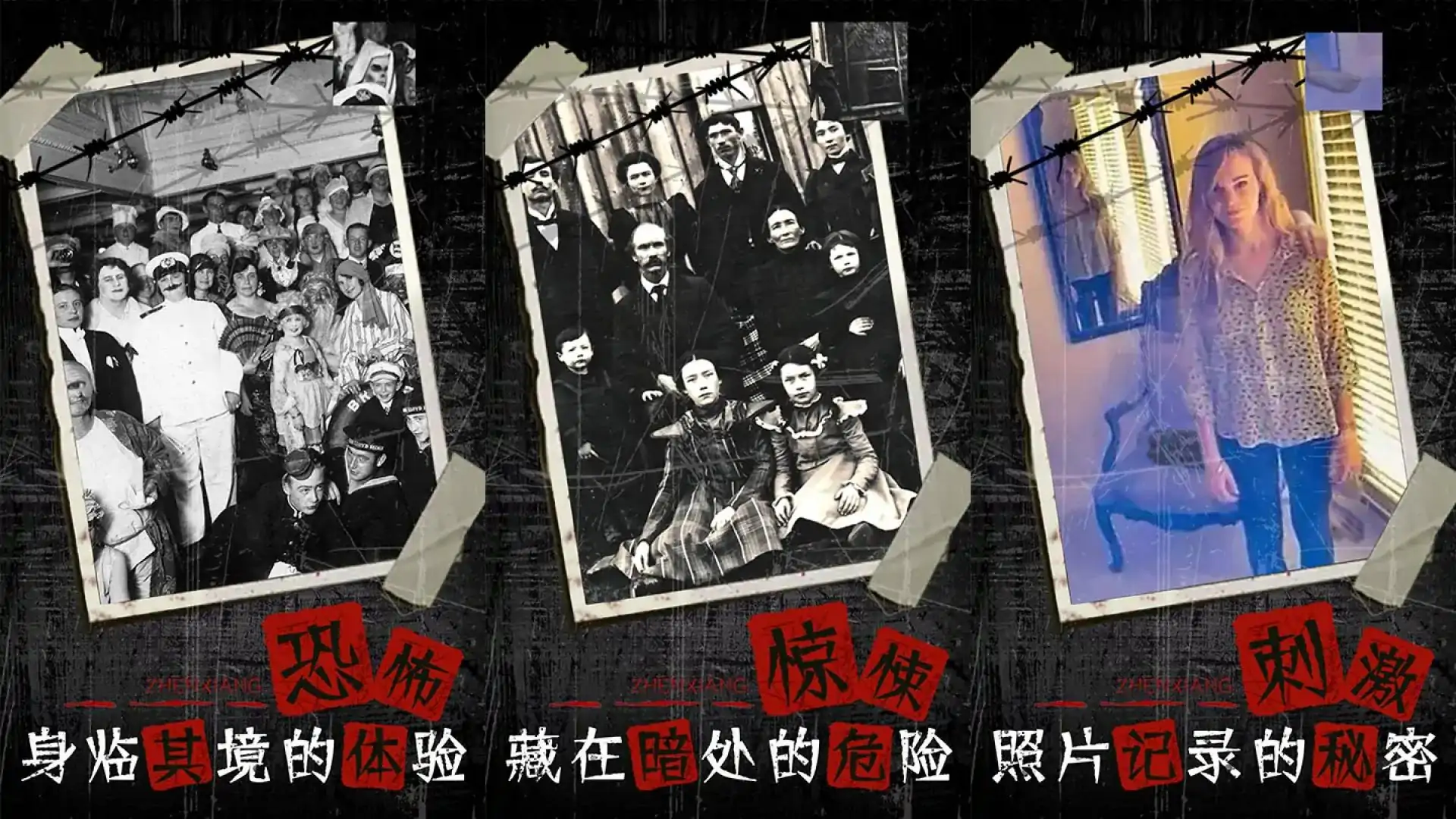 看不见的真相