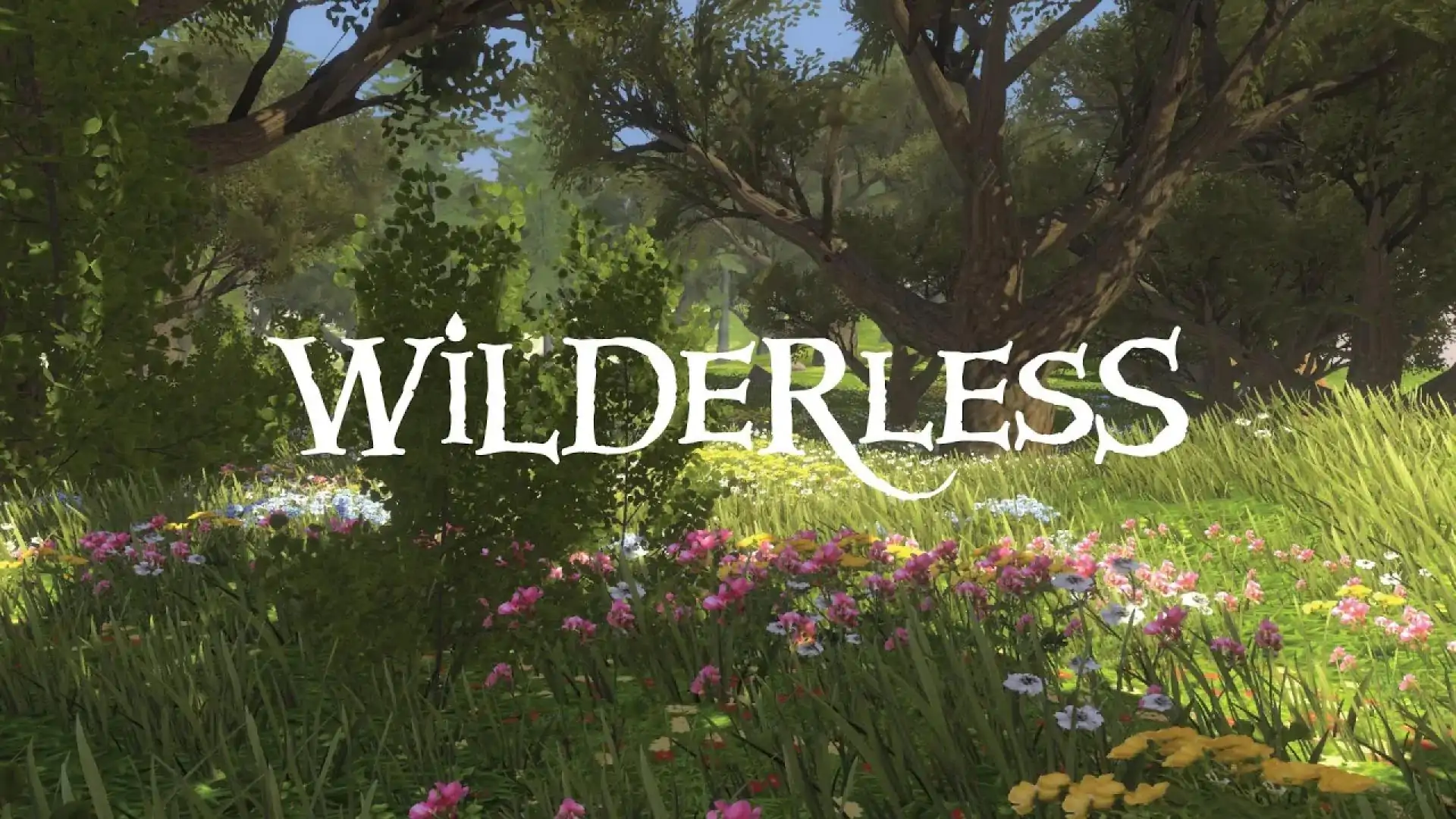 荒野(Wilderless)