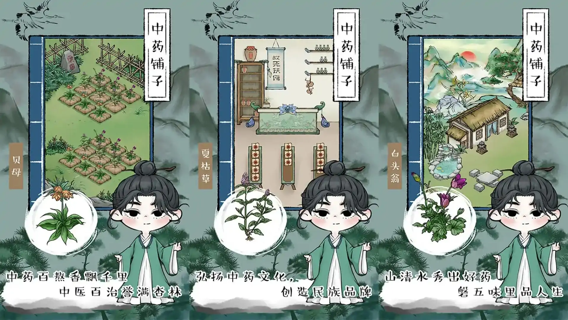 中药铺子