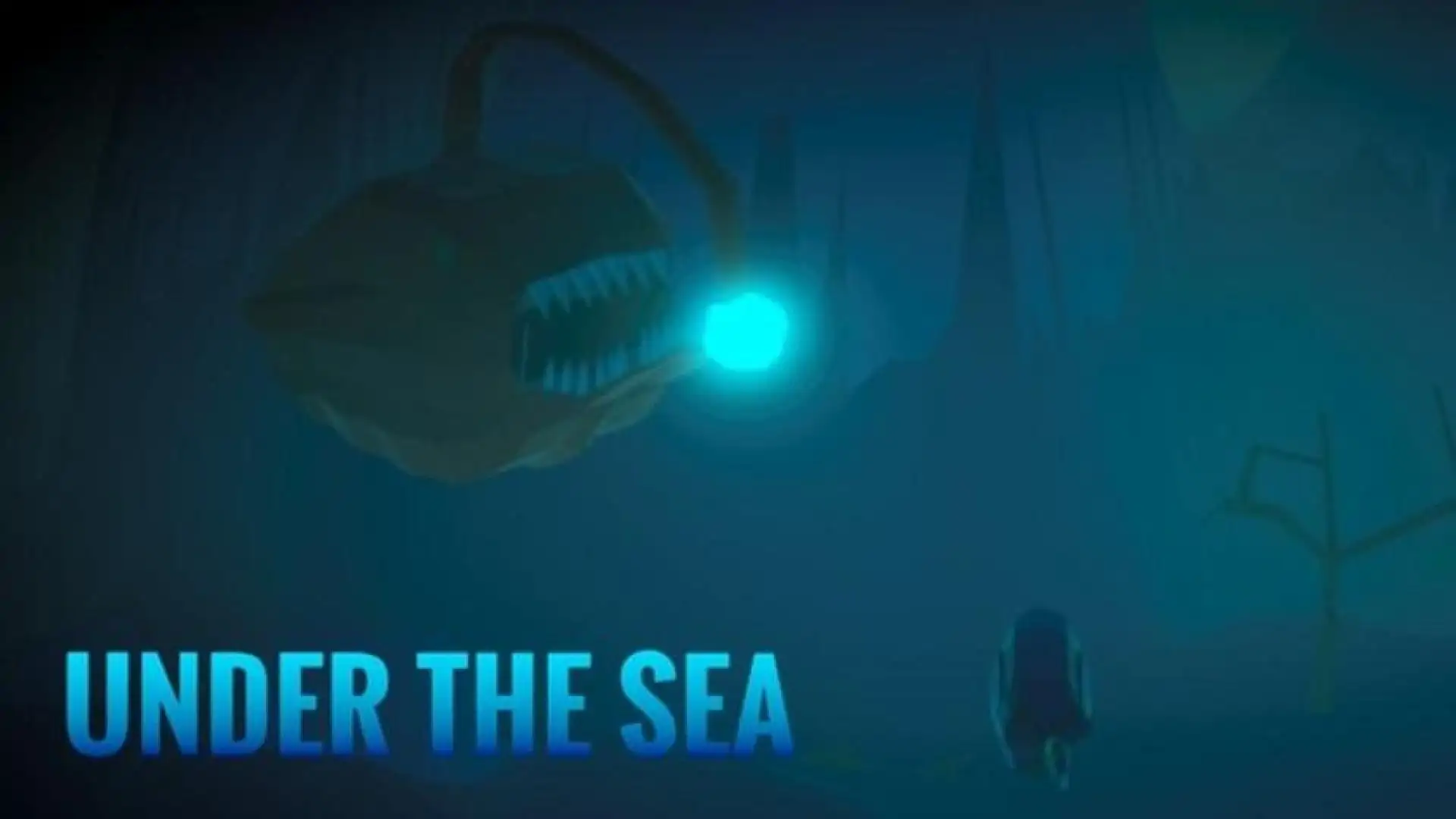 Under the Sea