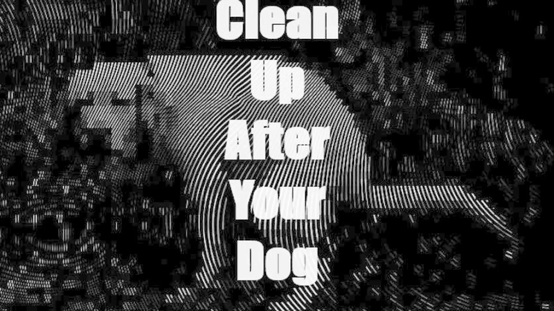 Clean Up After Your Dog