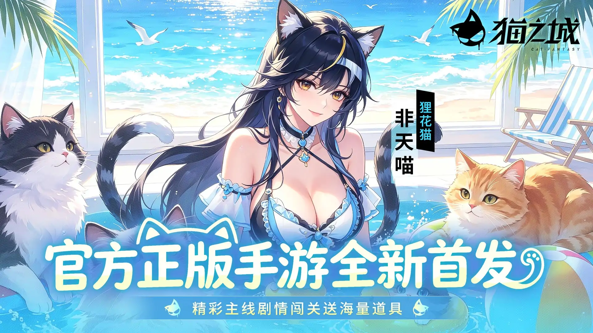 猫之城