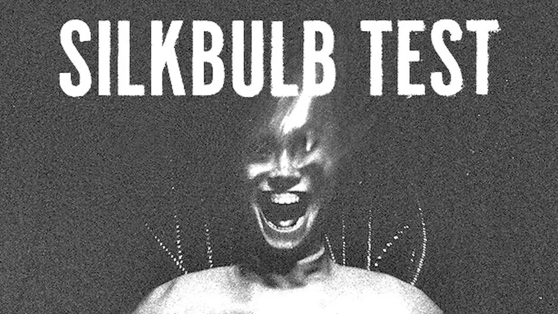silkbulb test