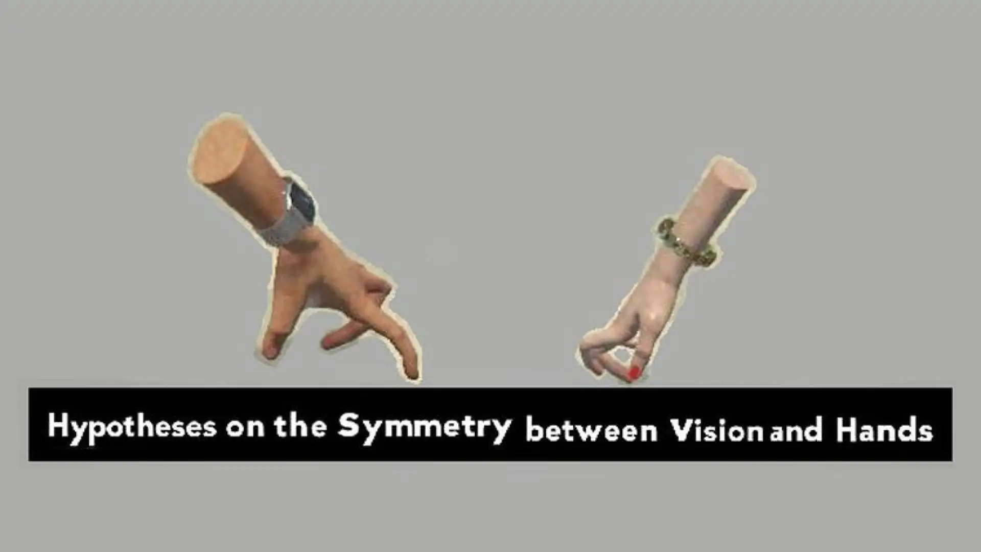 Hypotheses on the Symmetry between Vision and Hands