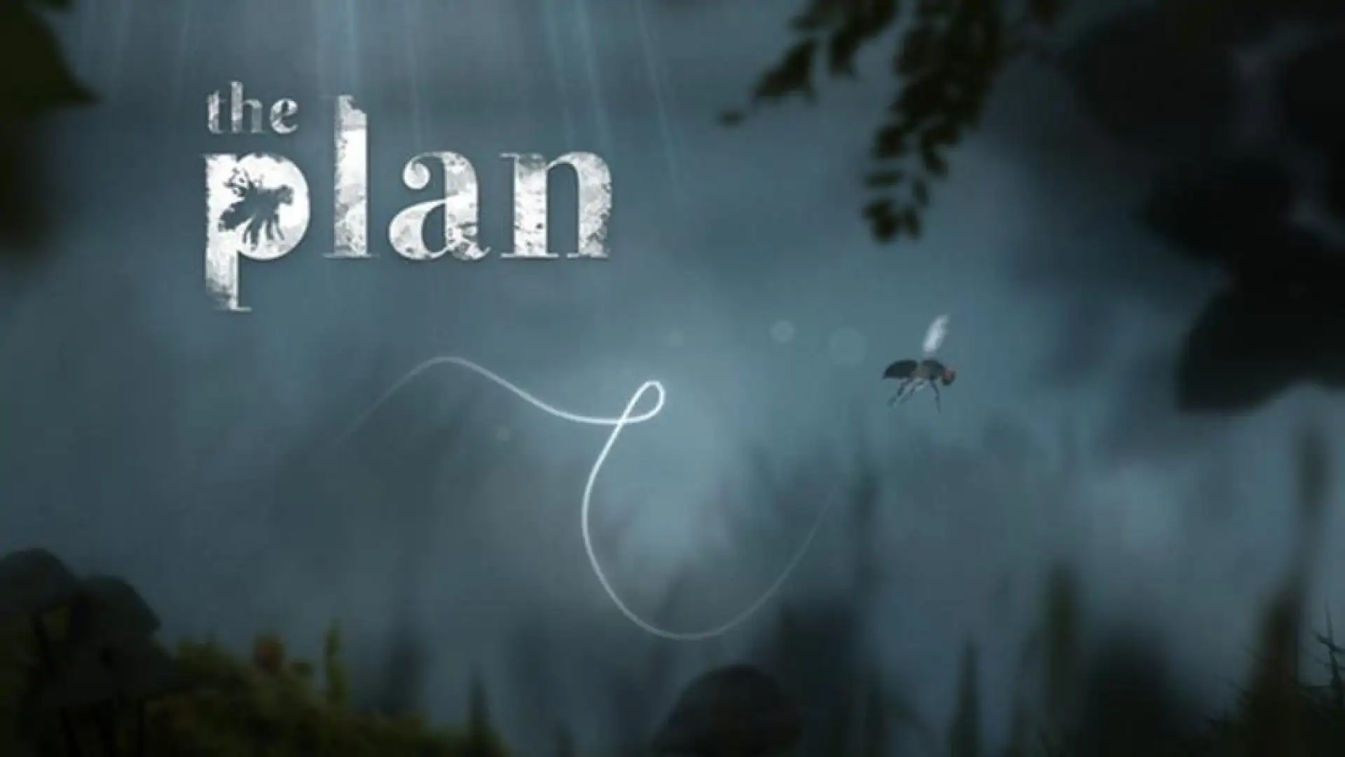 The Plan