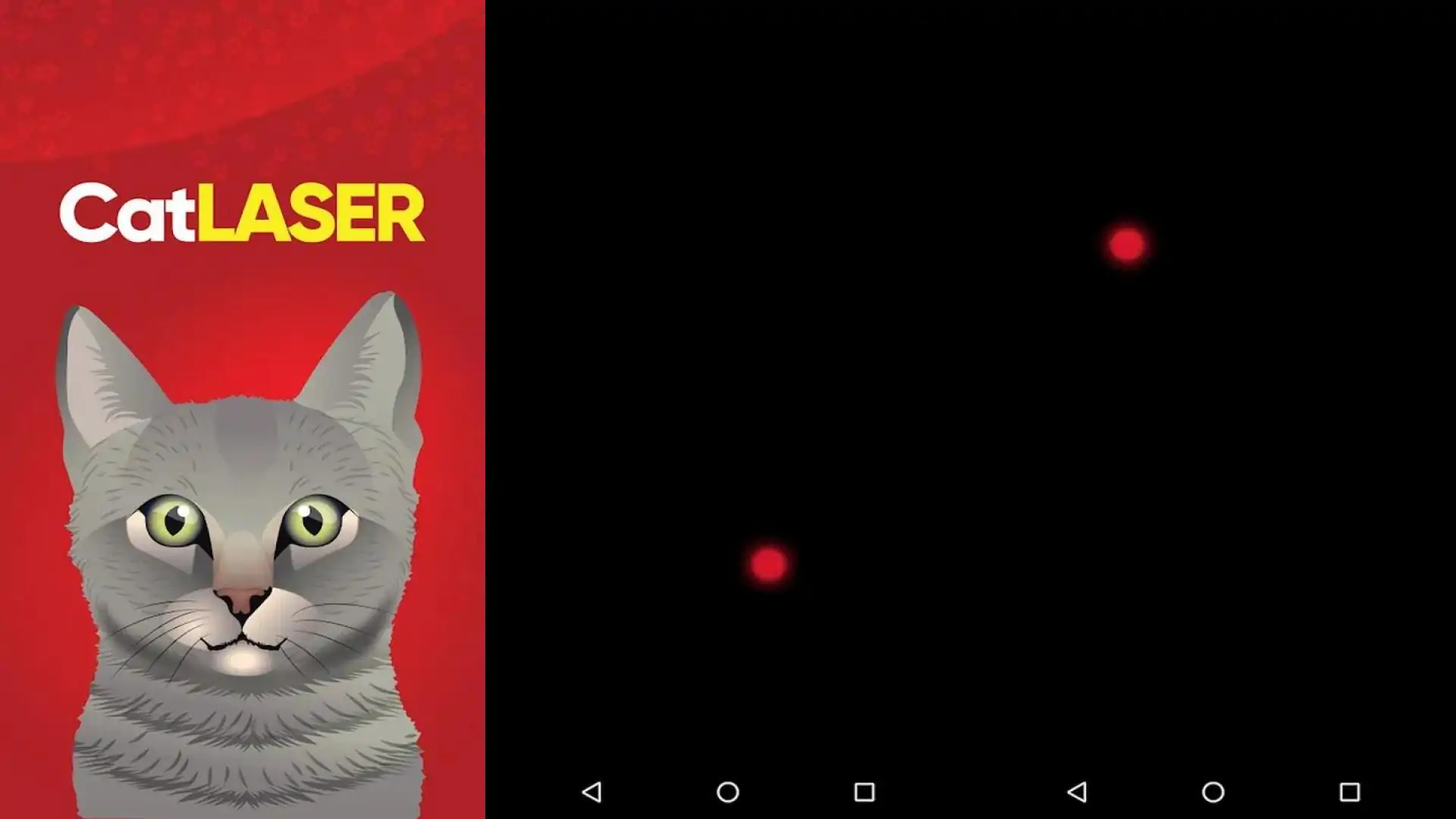 猫激光