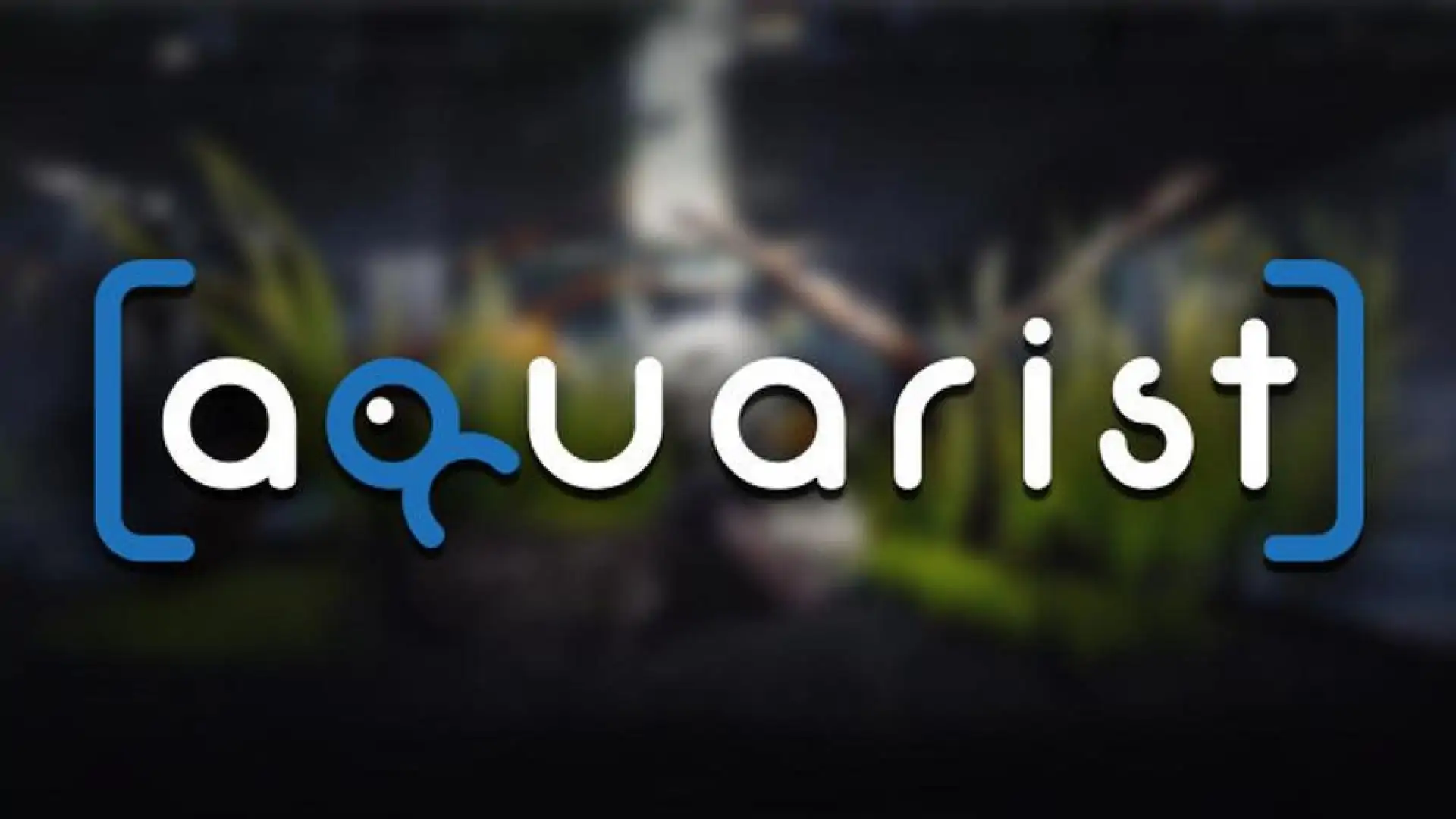 Aquarist - My First Job