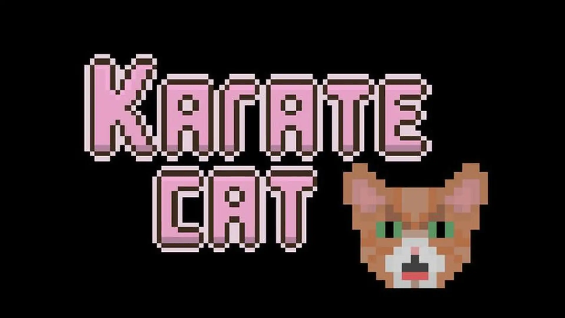 Karate Cat