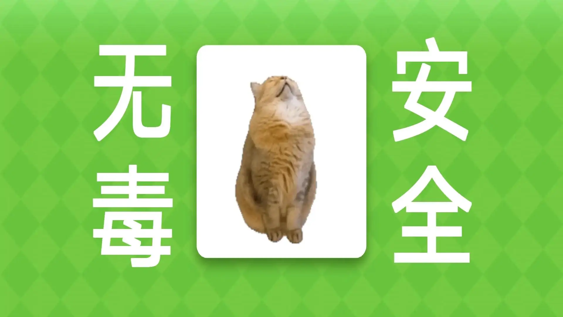 meme的毒药(B站up主代号皮克嗖儿)