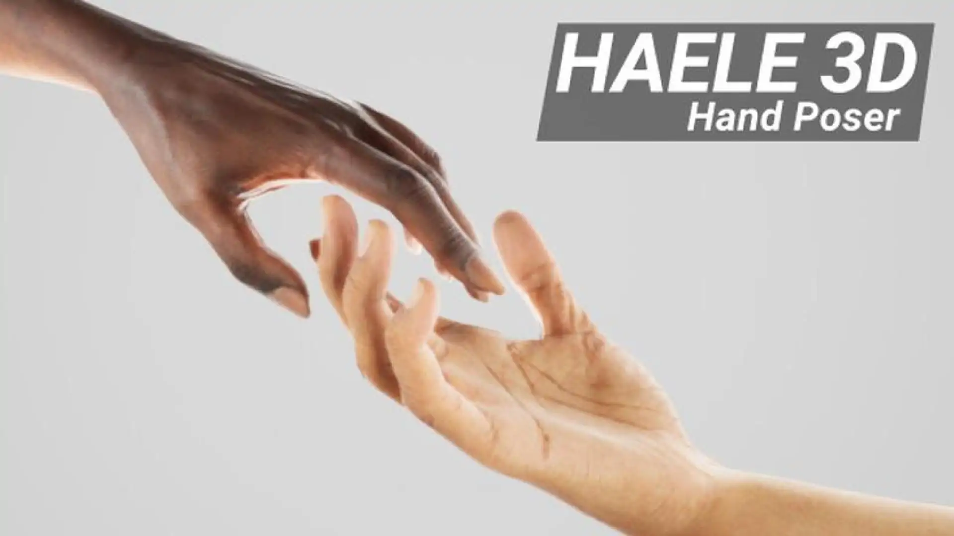 HAELE 3D - 手部动作 Pro - 绘画参考