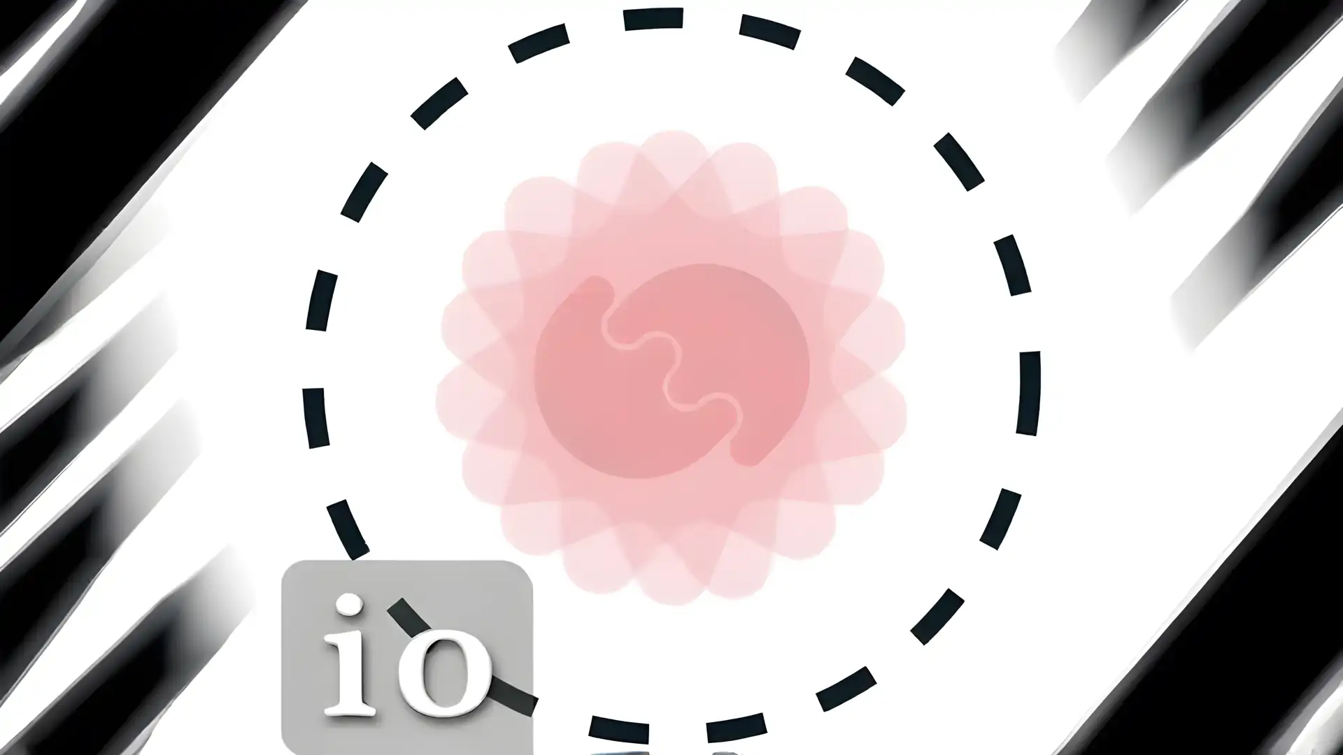 鲍勃.io