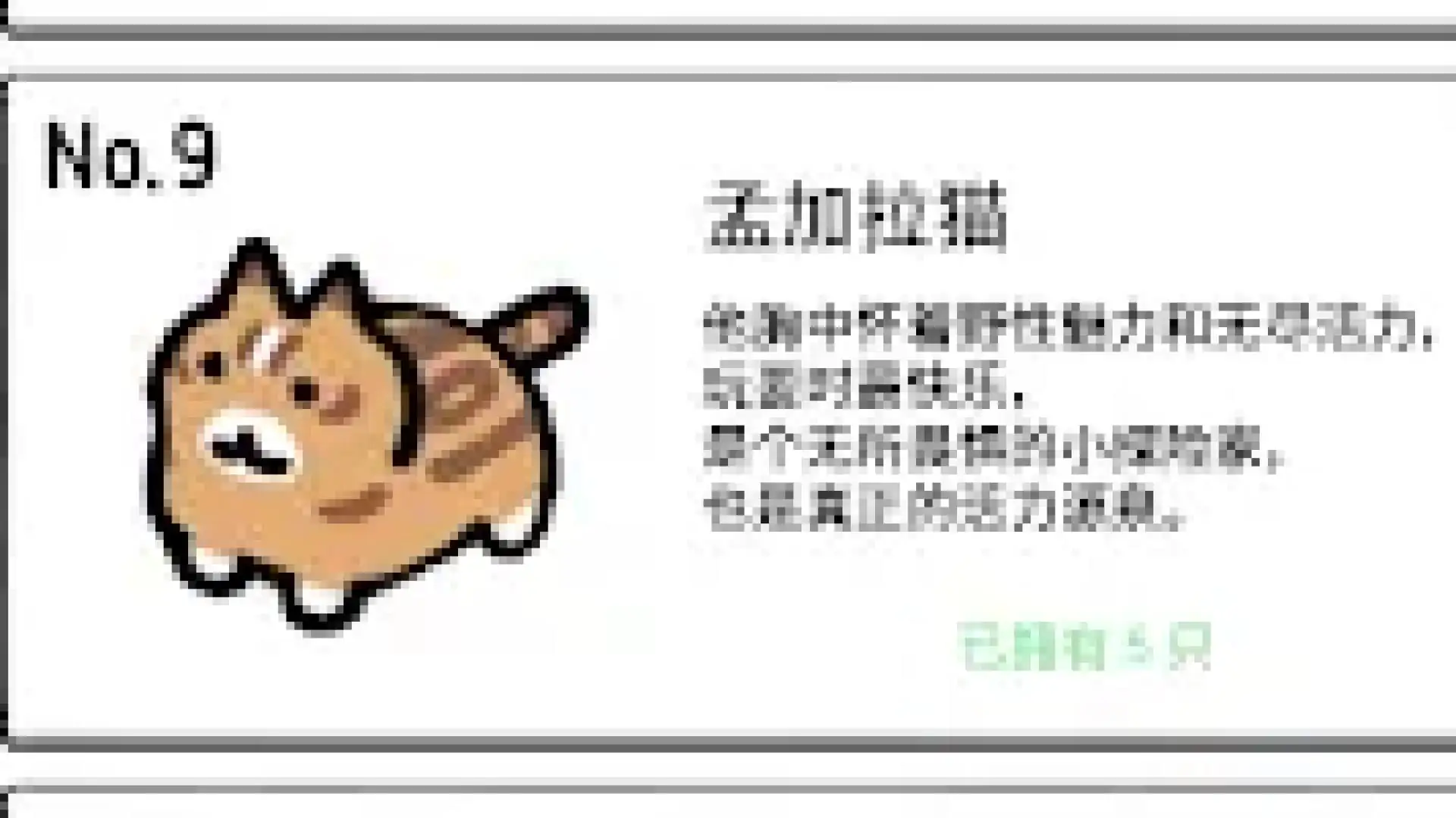 救救猫咪！