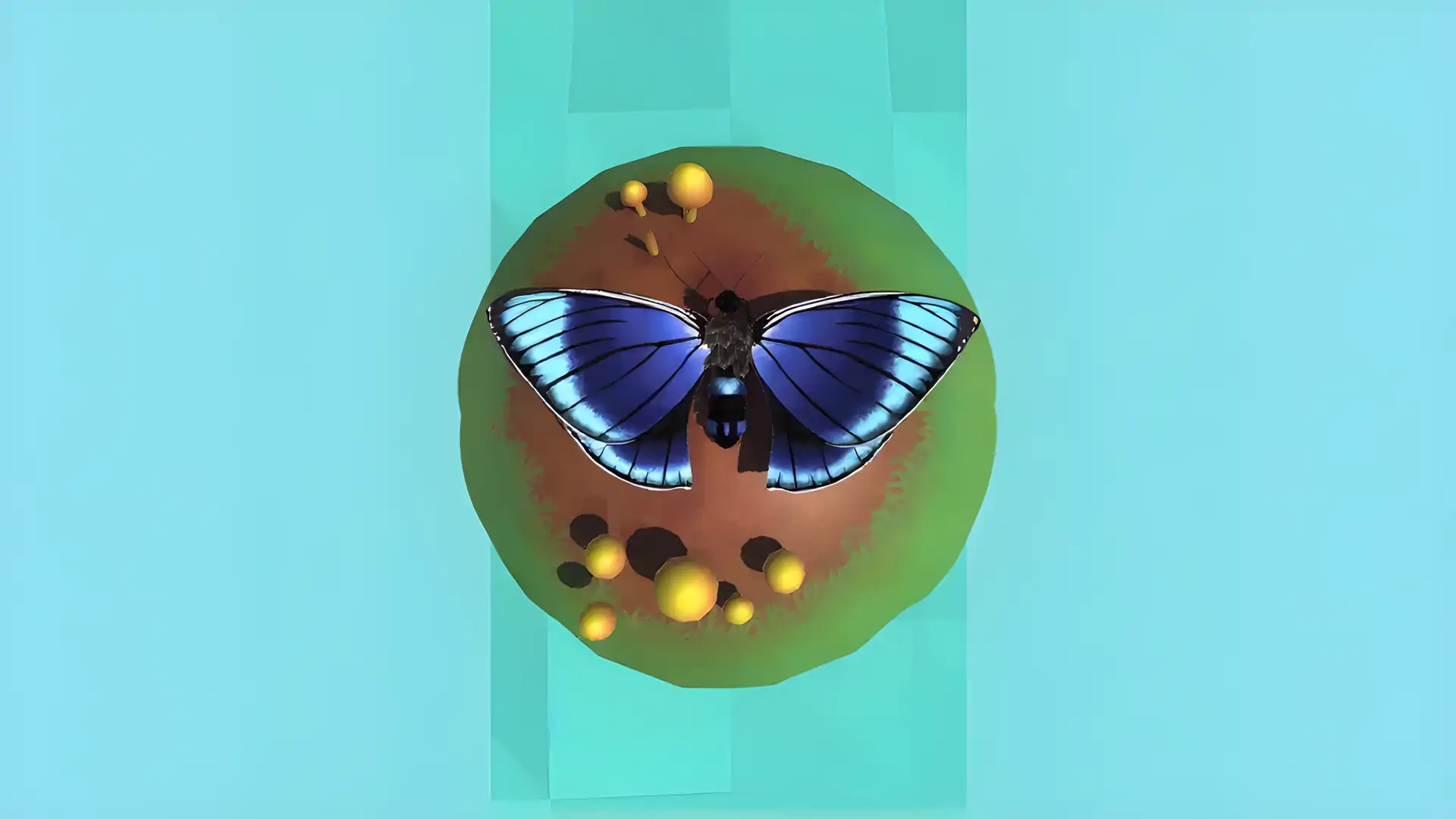 蝴蝶艺术3D