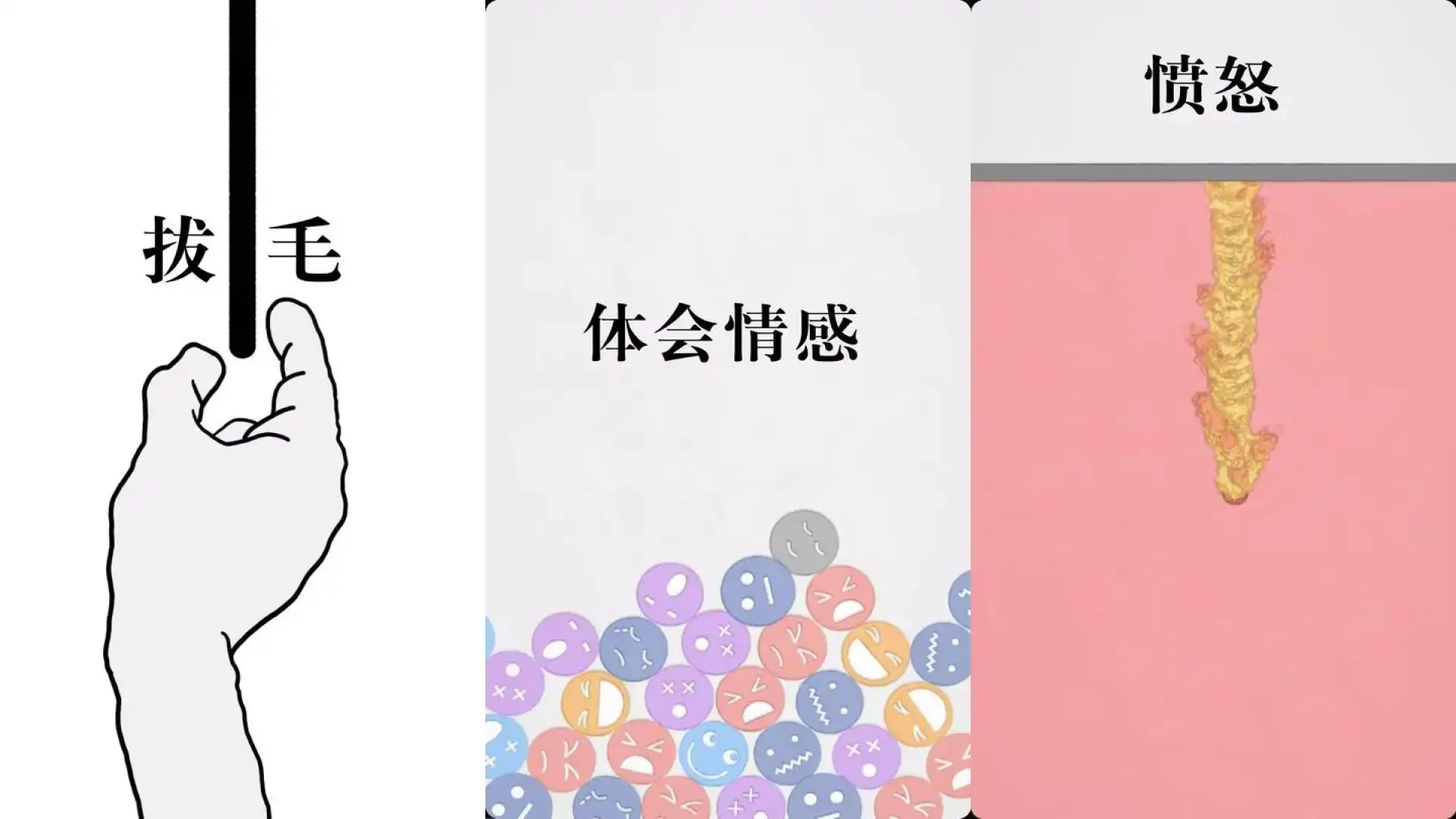 拔条毛:毛与情感