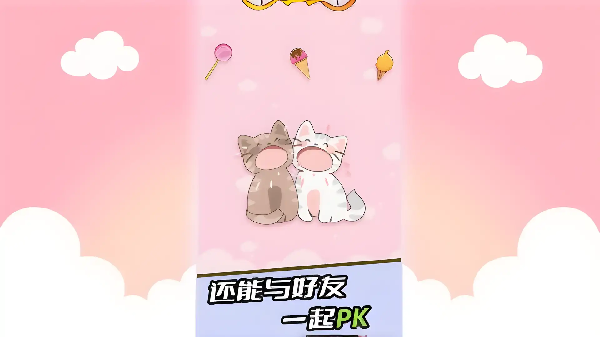 猫猫二重奏
