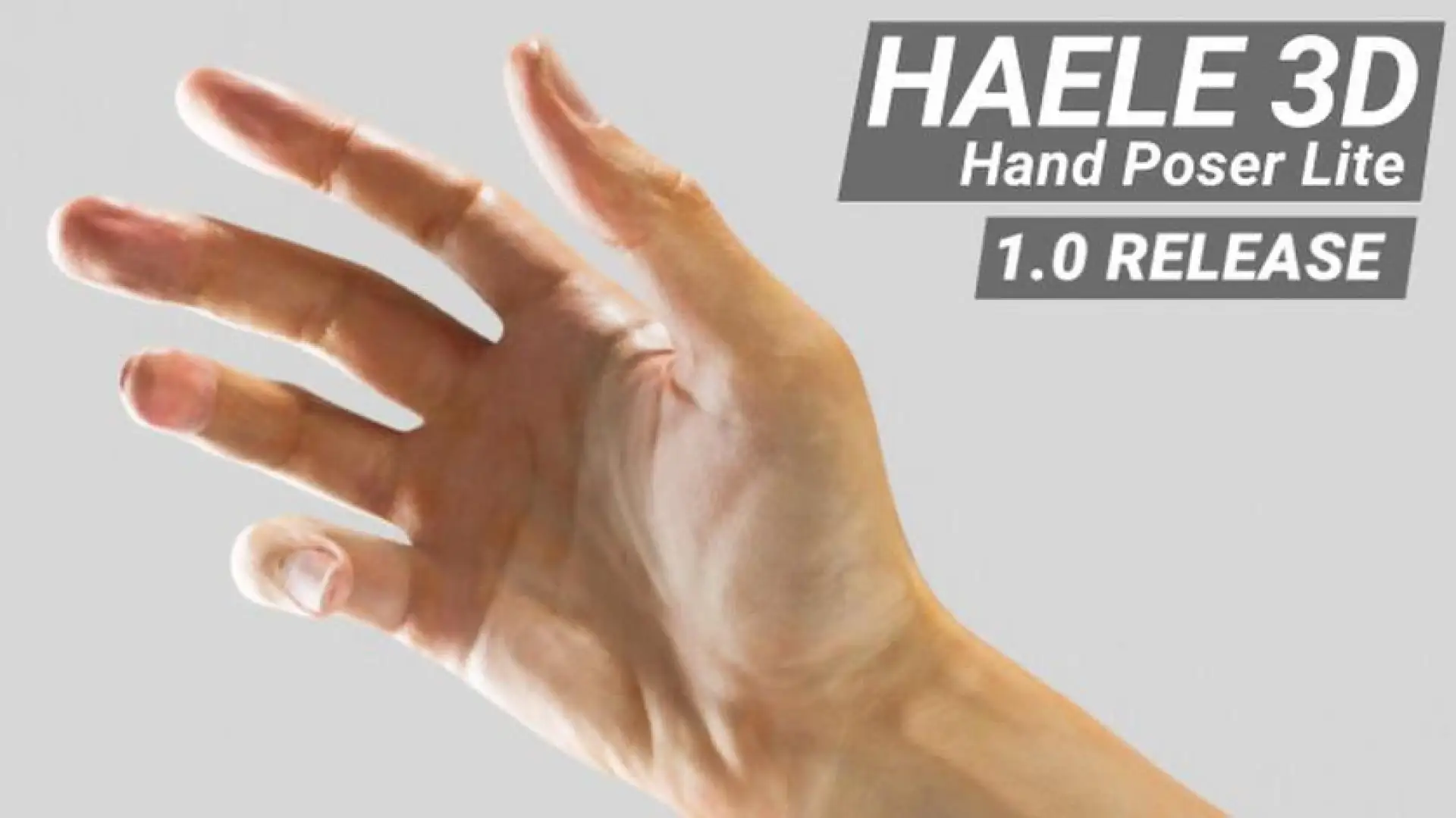 HAELE 3D - 手部动作 Lite - 绘画参考