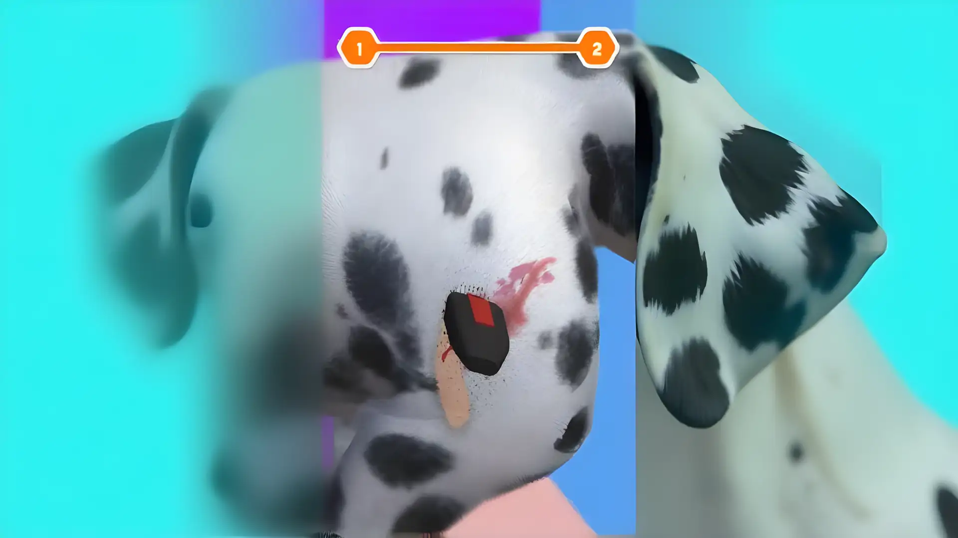 宠物救援