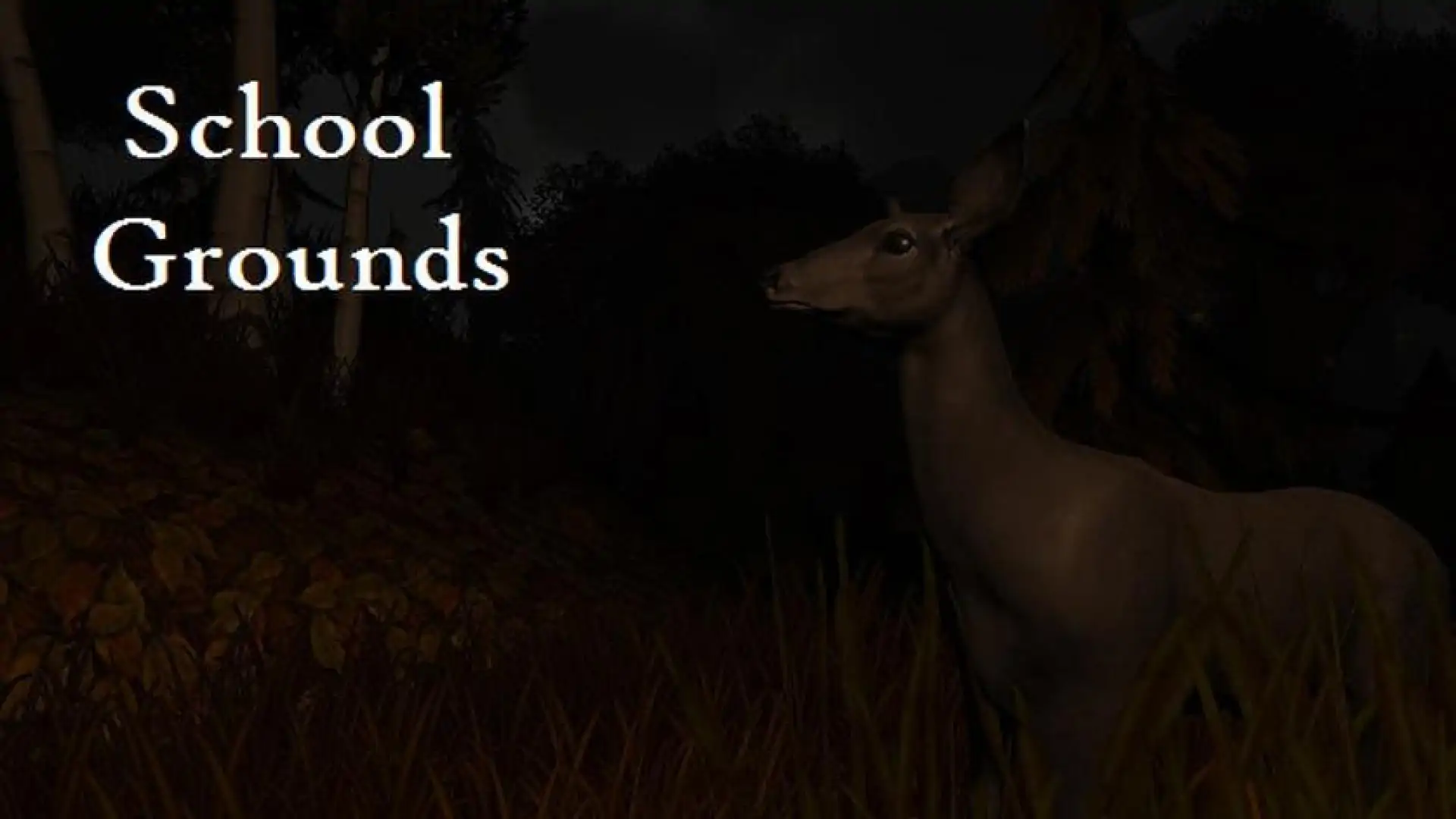 School Grounds