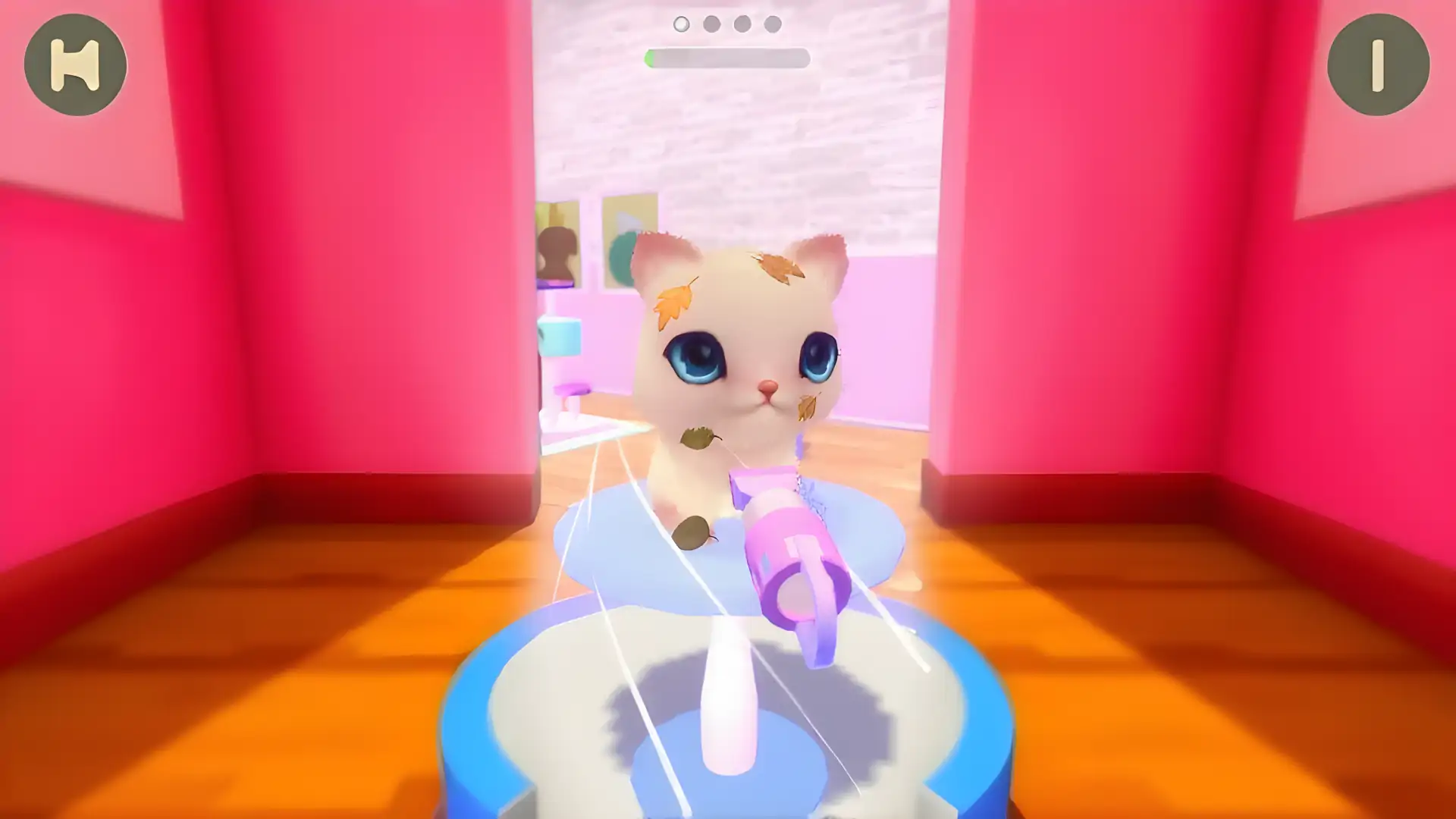 ASMR宠物沙龙