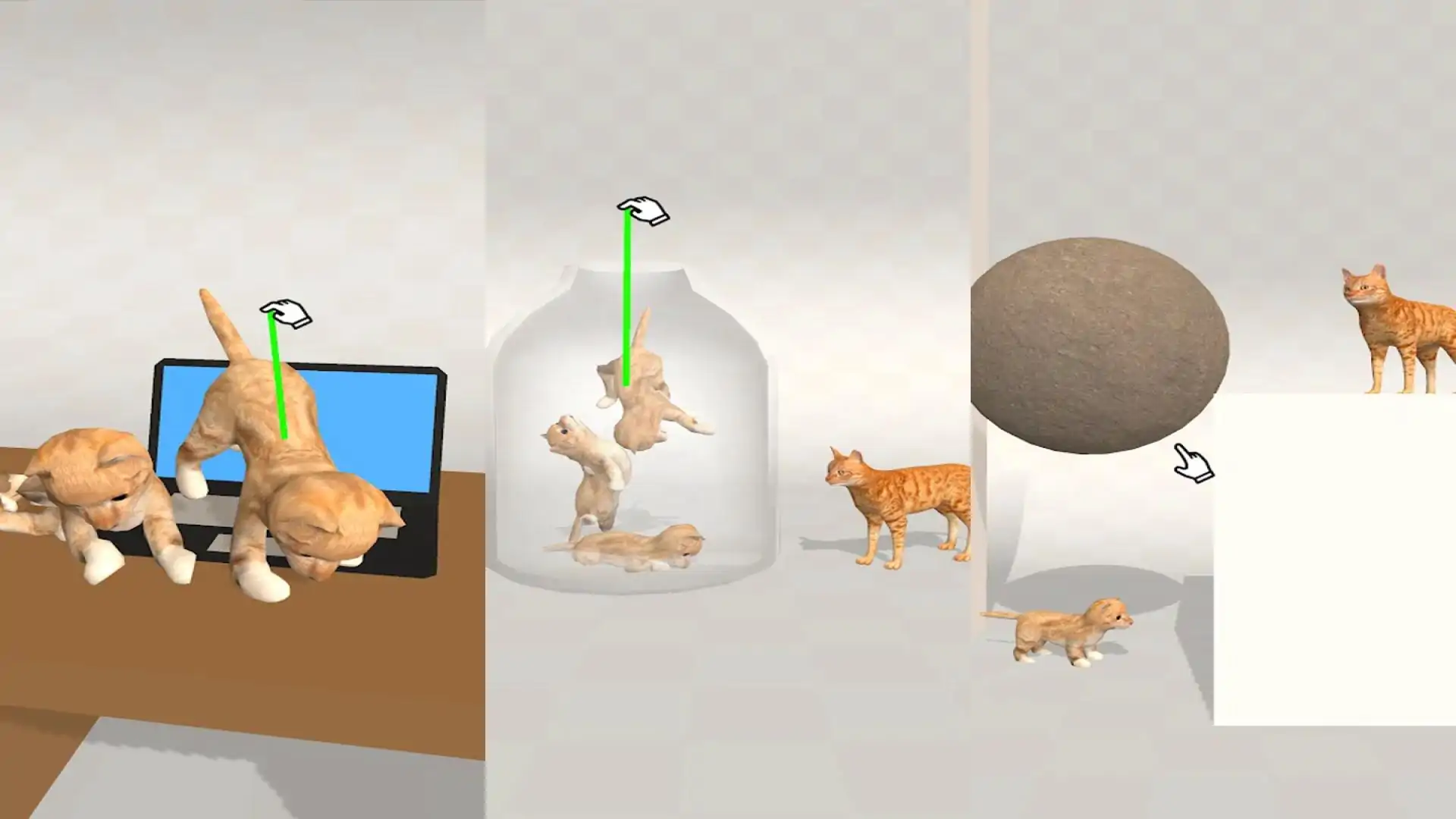 携带猫