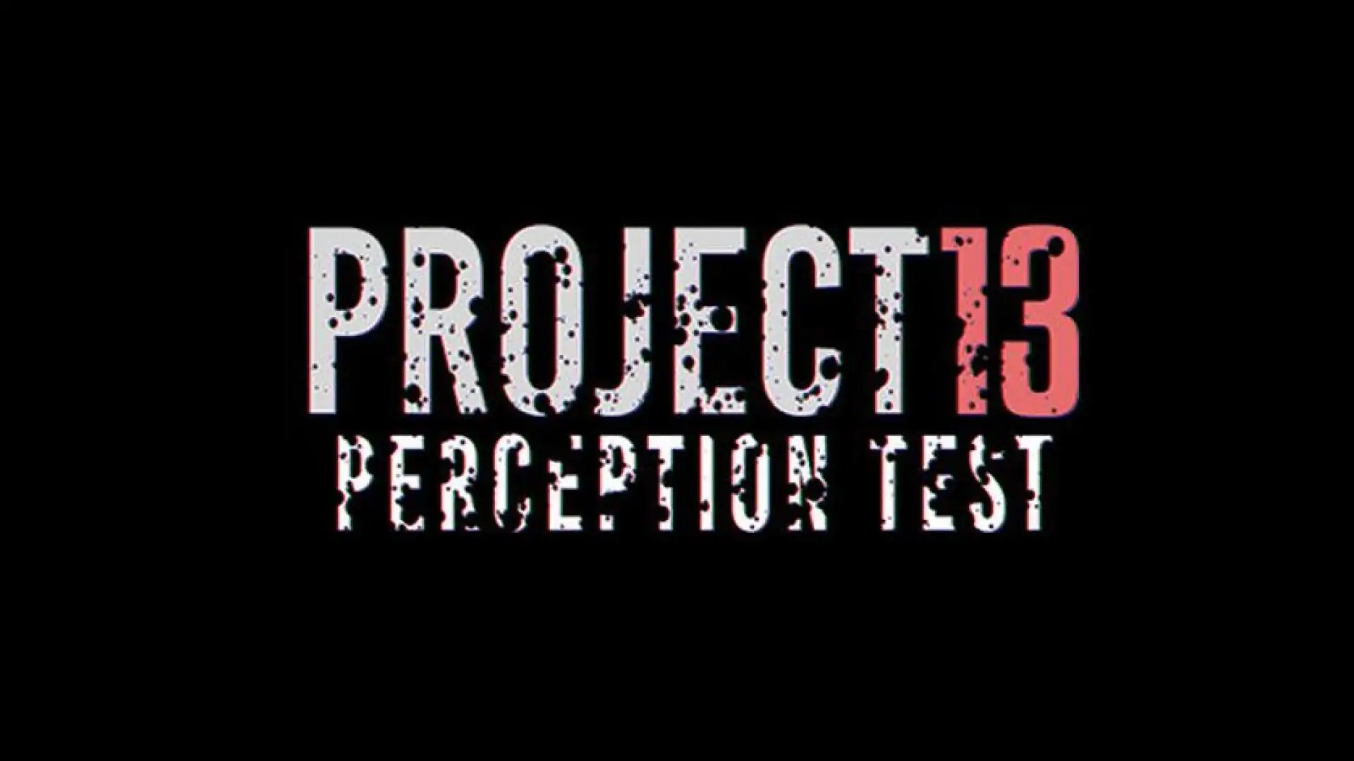 PROJECT 13 Perception Test