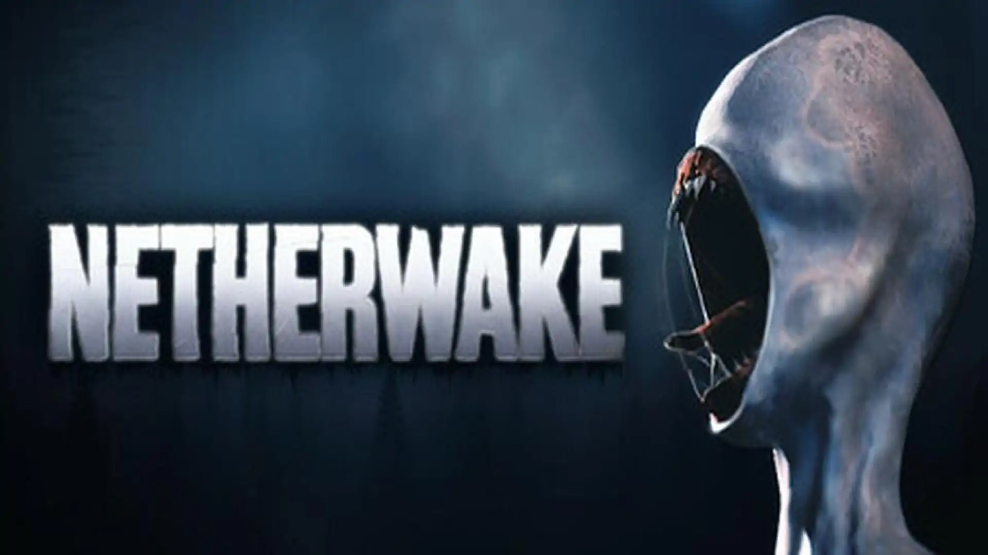 Netherwake