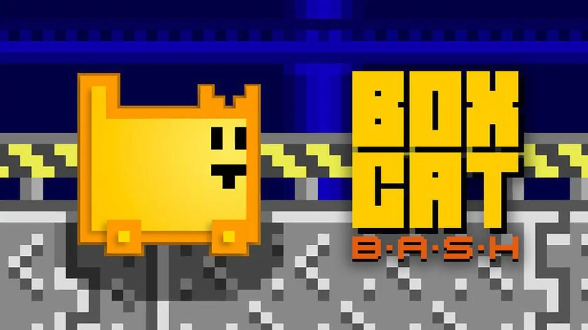 Box Cat Bash