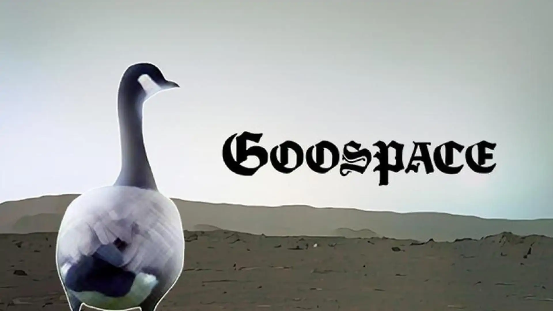Goospace