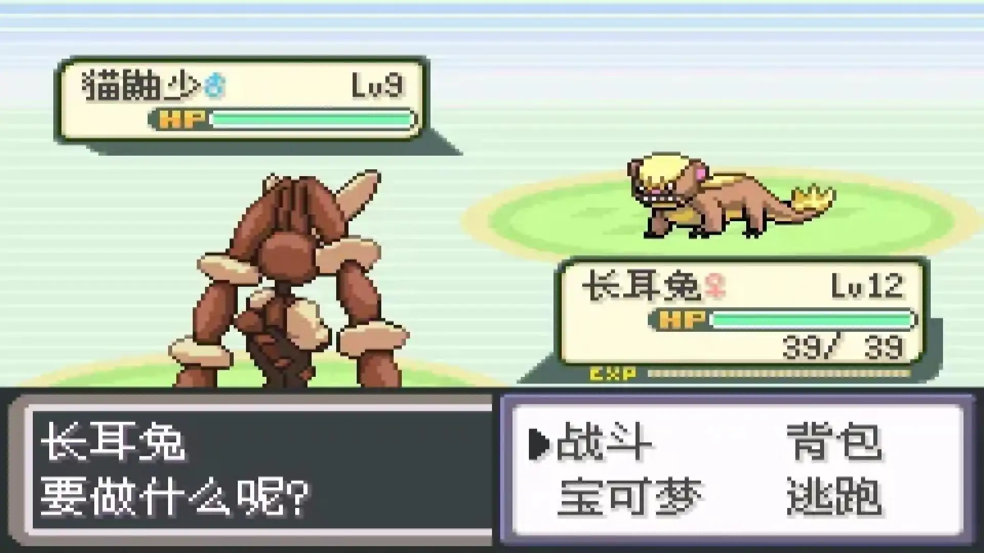 宝可梦无名（最新MEGA进化）