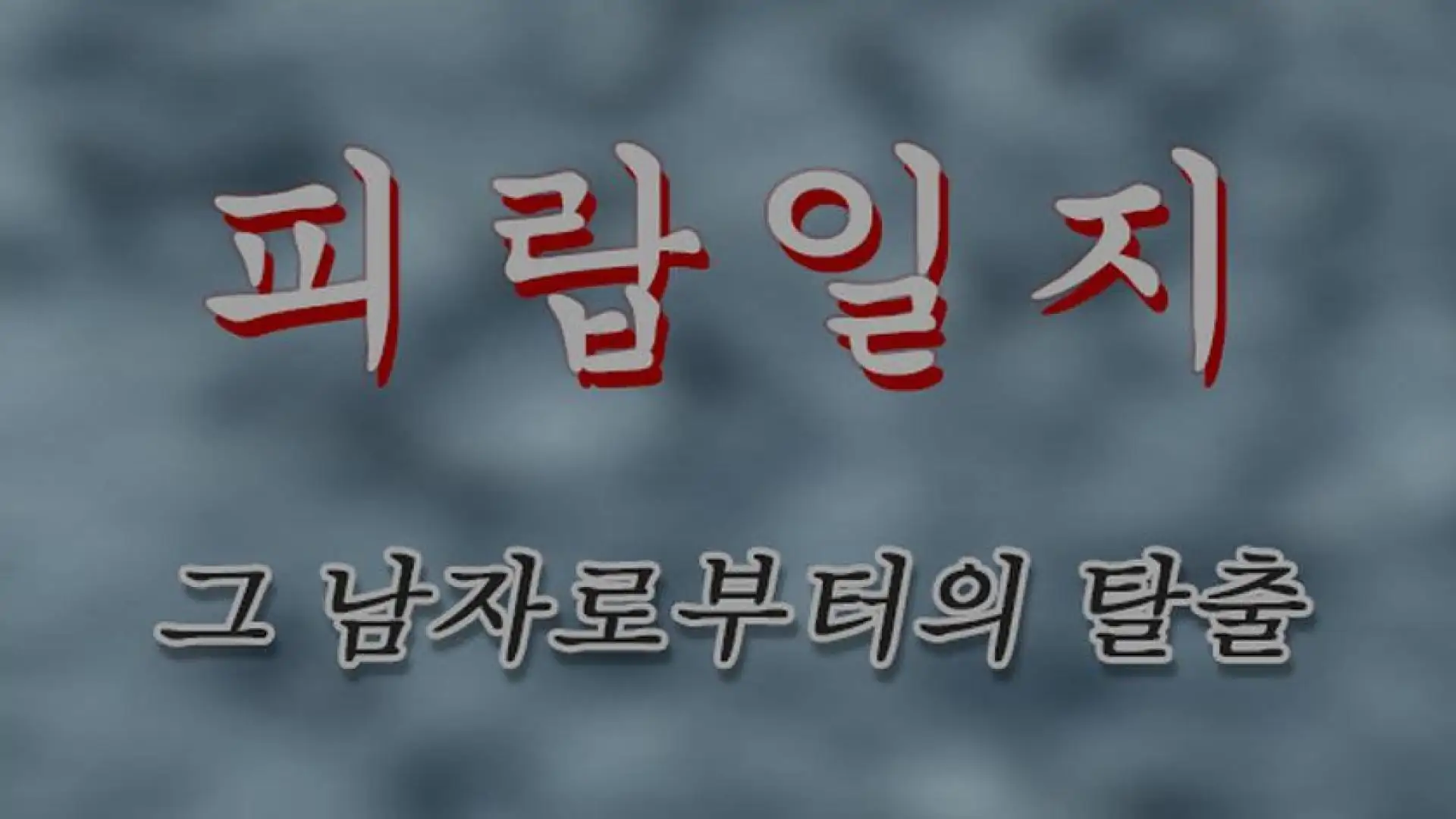 피랍 일지 - 그 남자로부터의 탈출