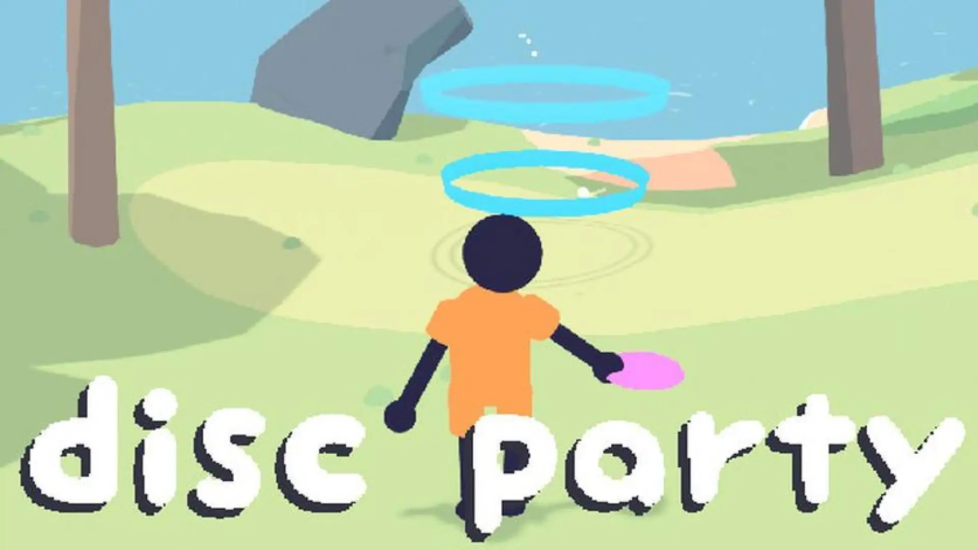 disc party