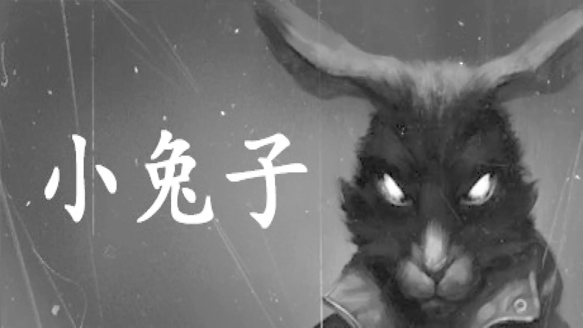 小兔子