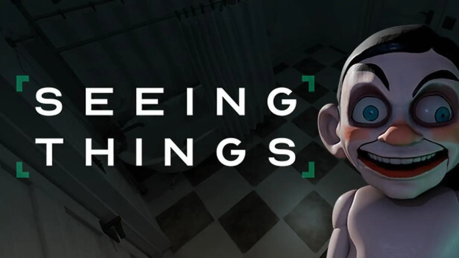 SEEING THINGS