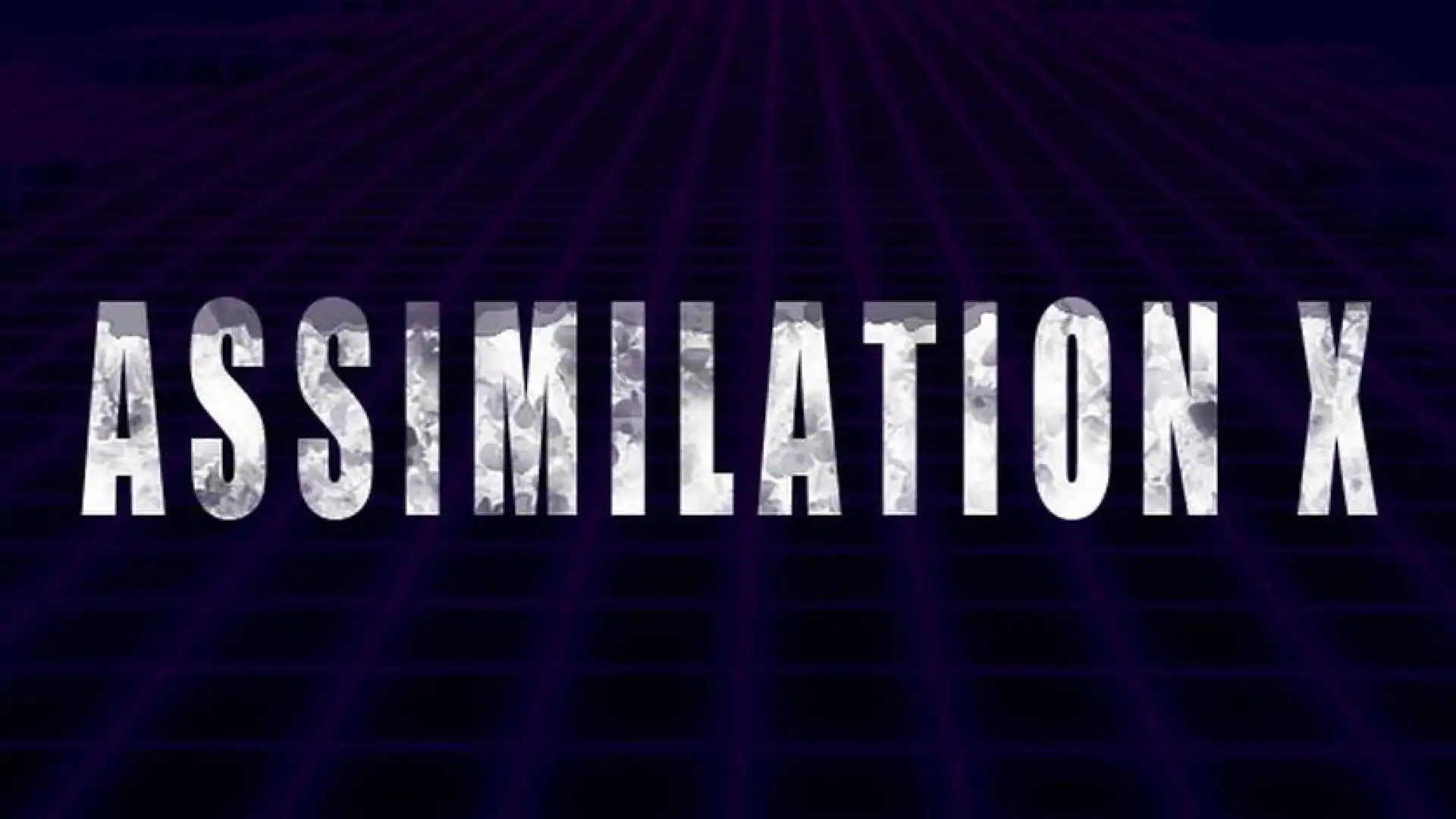 Assimilation X