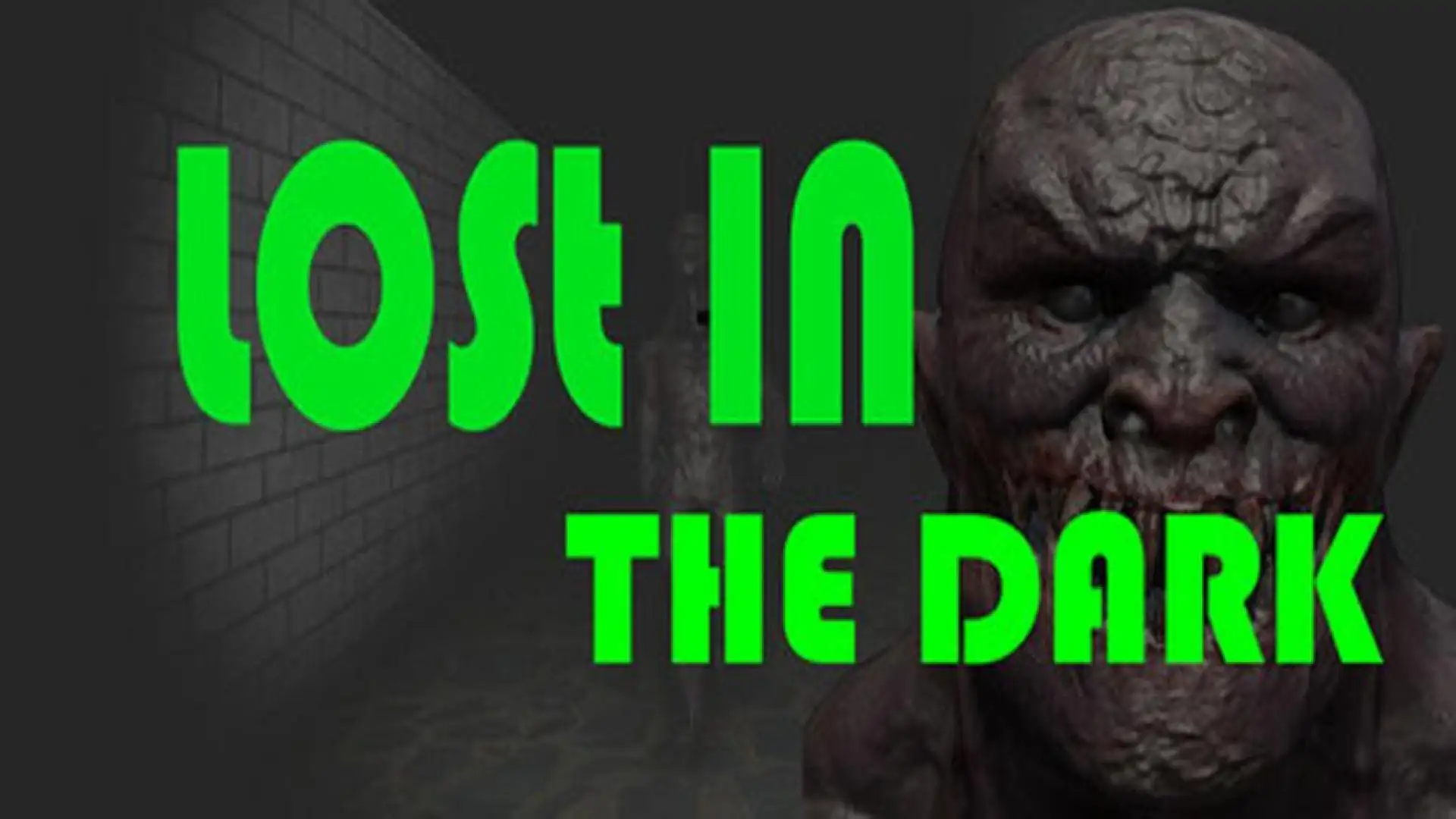 Lost in the Dark