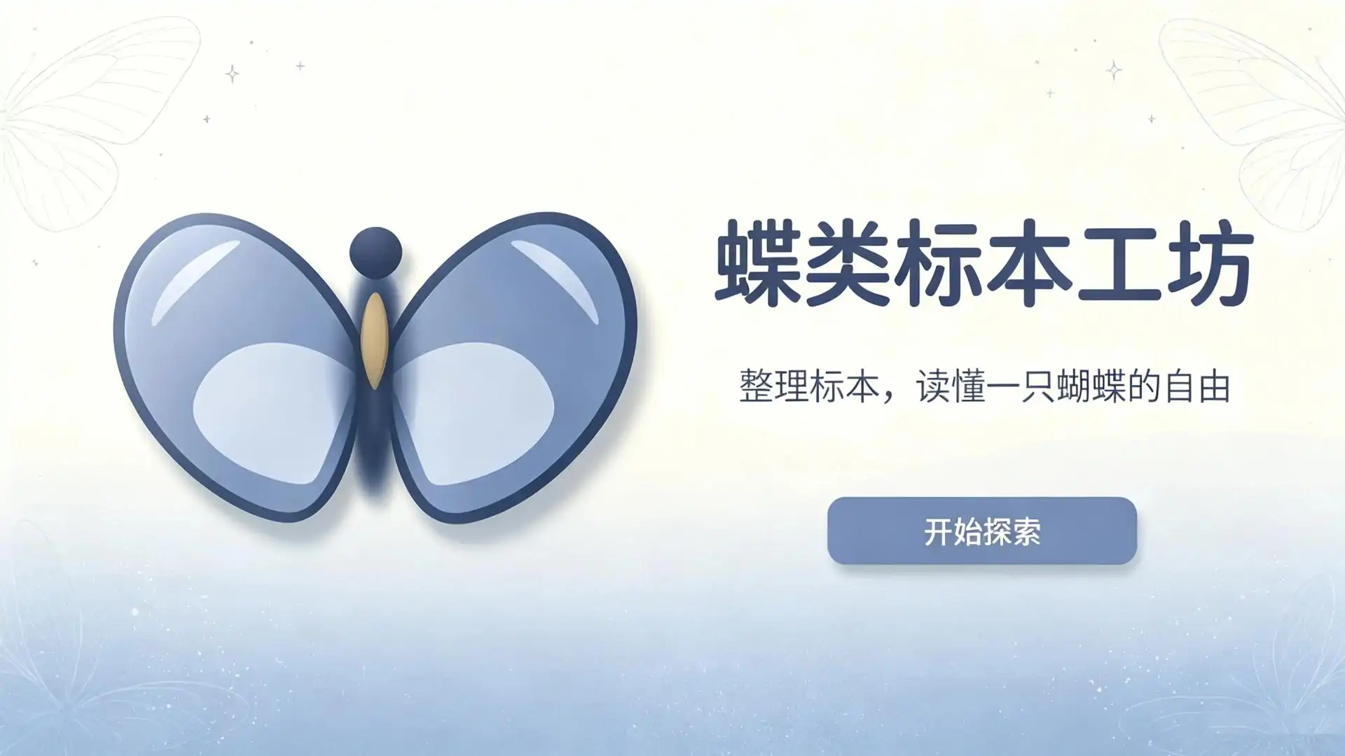 蝶类标本工坊