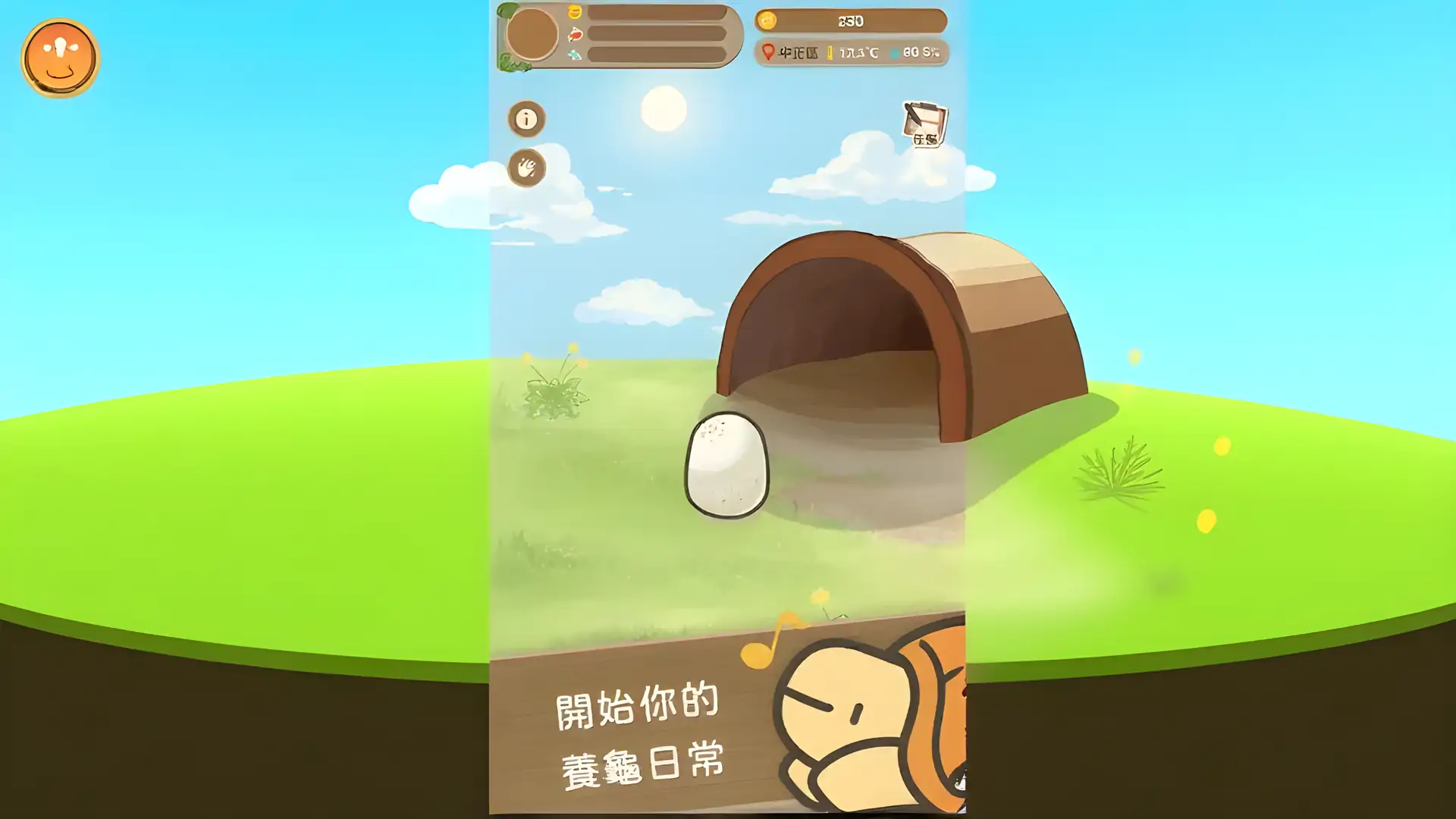 口袋乌龟