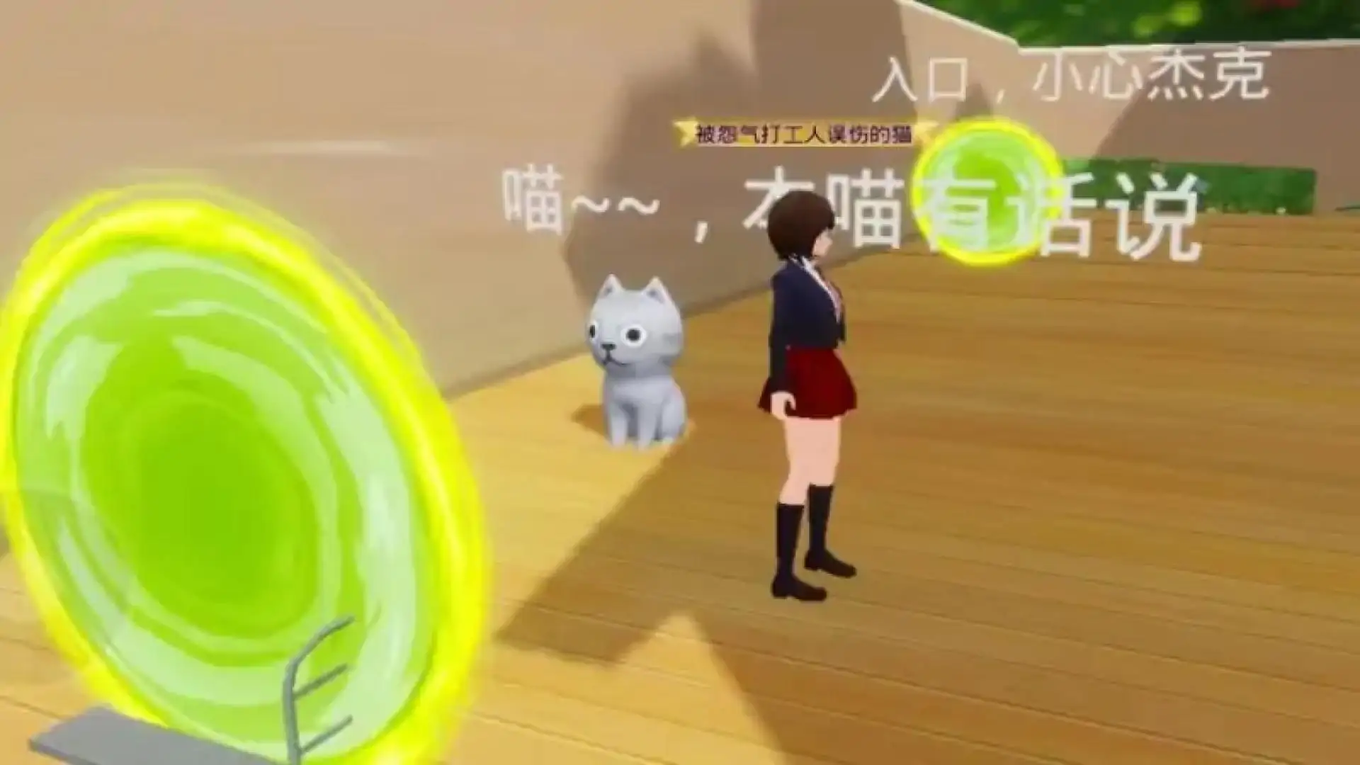 追寻失落的猫猫
