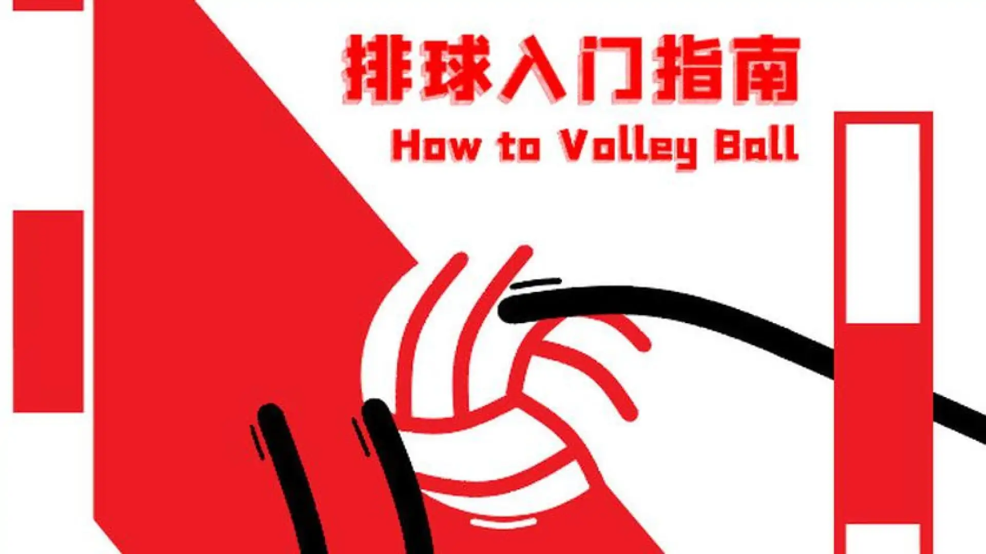 排球入门指南
