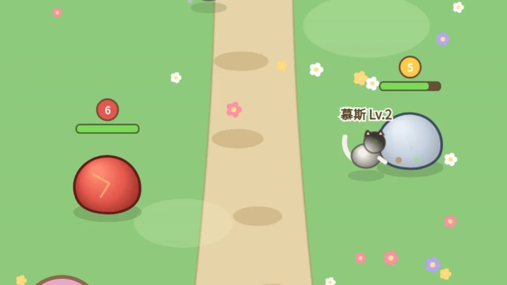 小猫挖宝