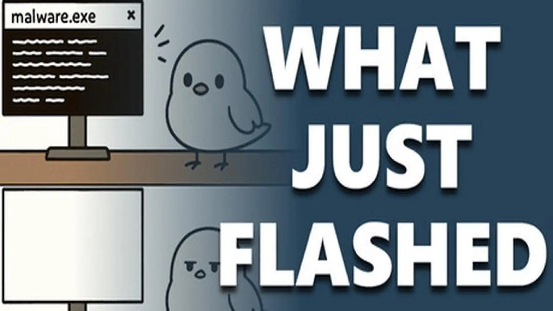 WhatJustFlashed
