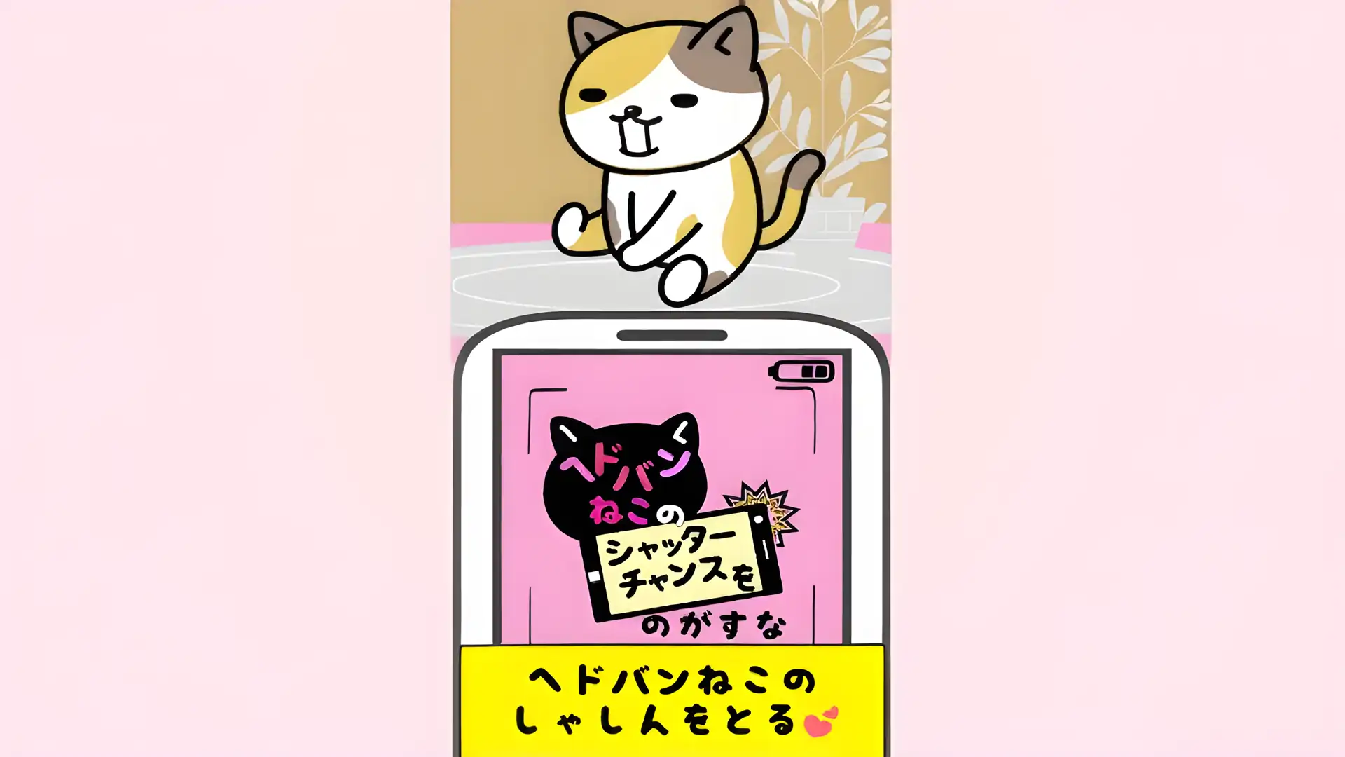 头撞猫快门机会