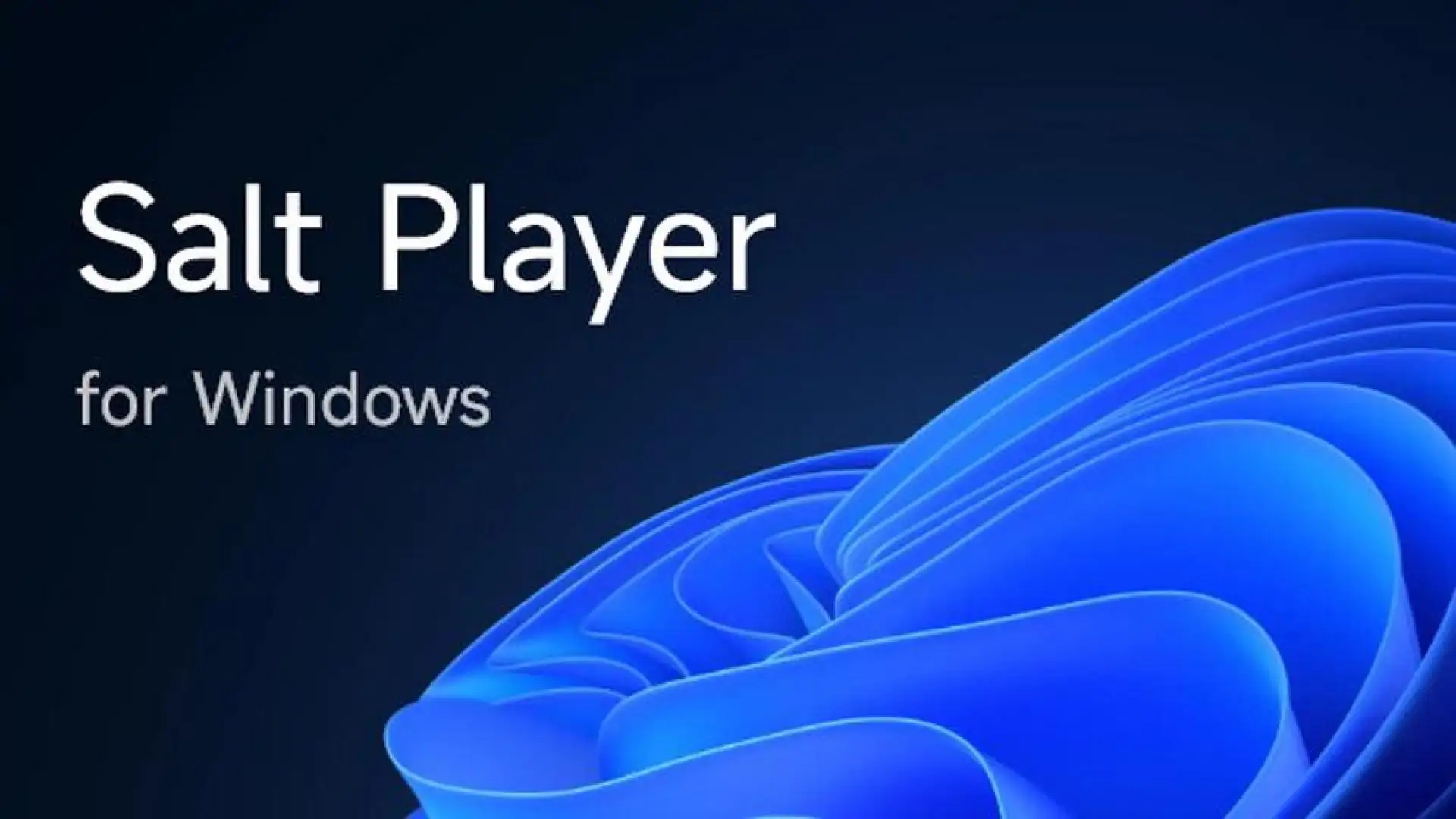 Salt Player for Windows