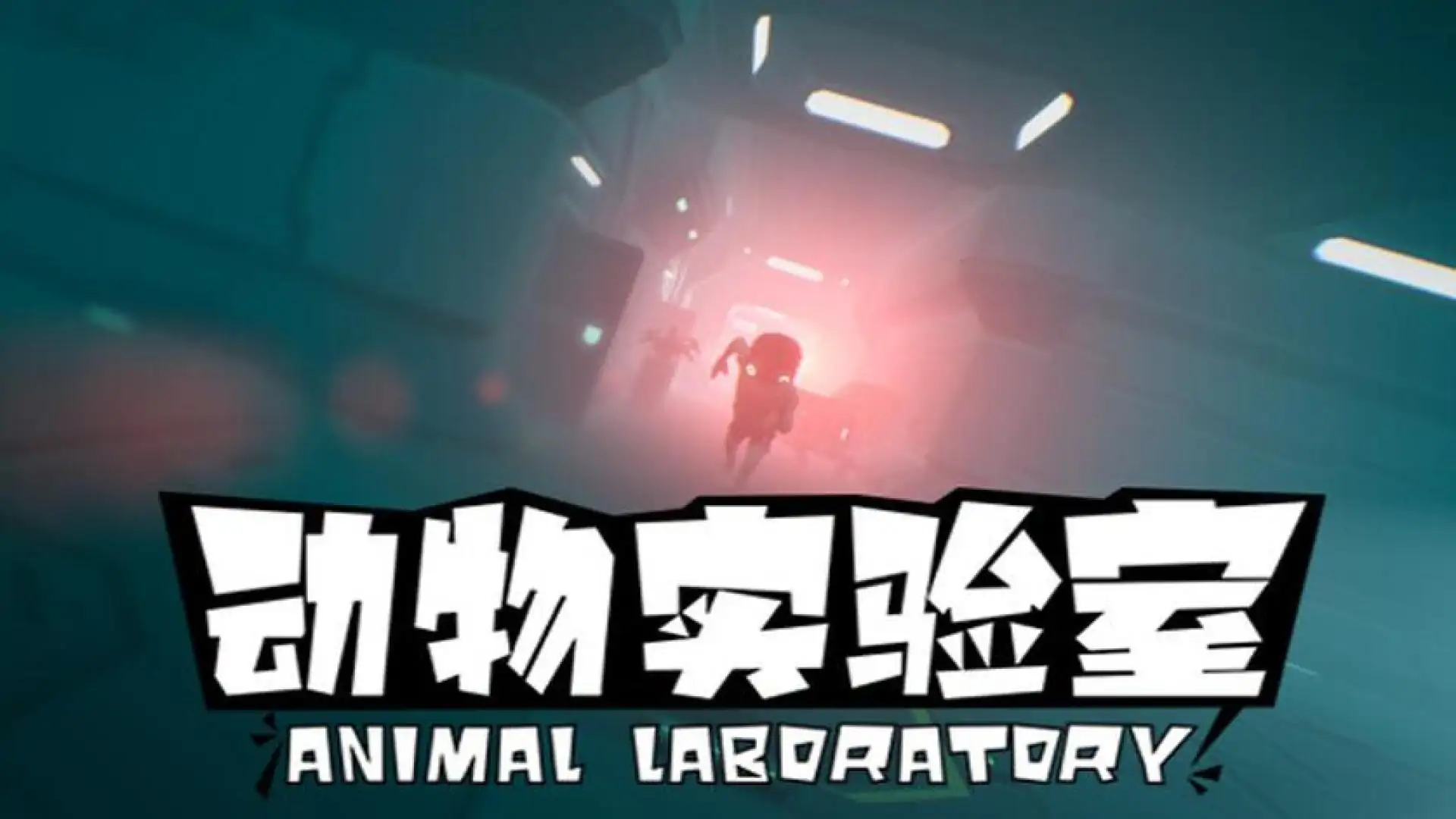 动物实验室
