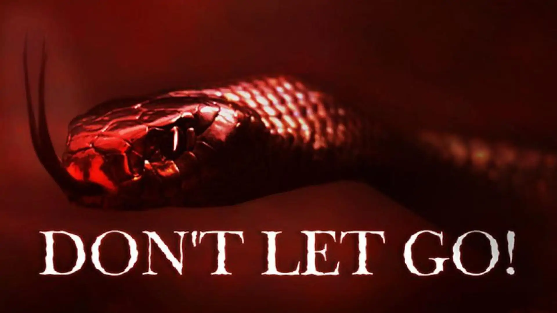 Don't Let Go!