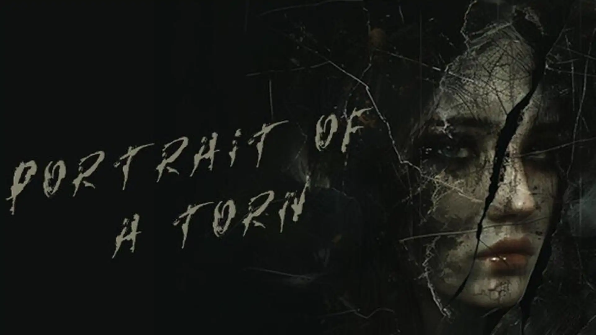 Portrait of a Torn