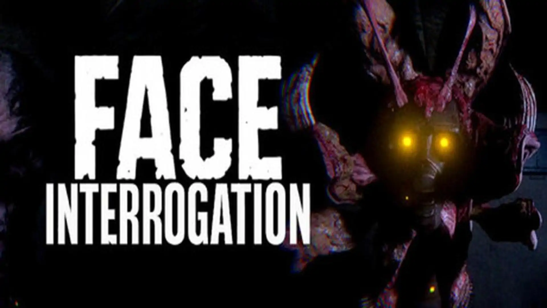 Face Interrogation