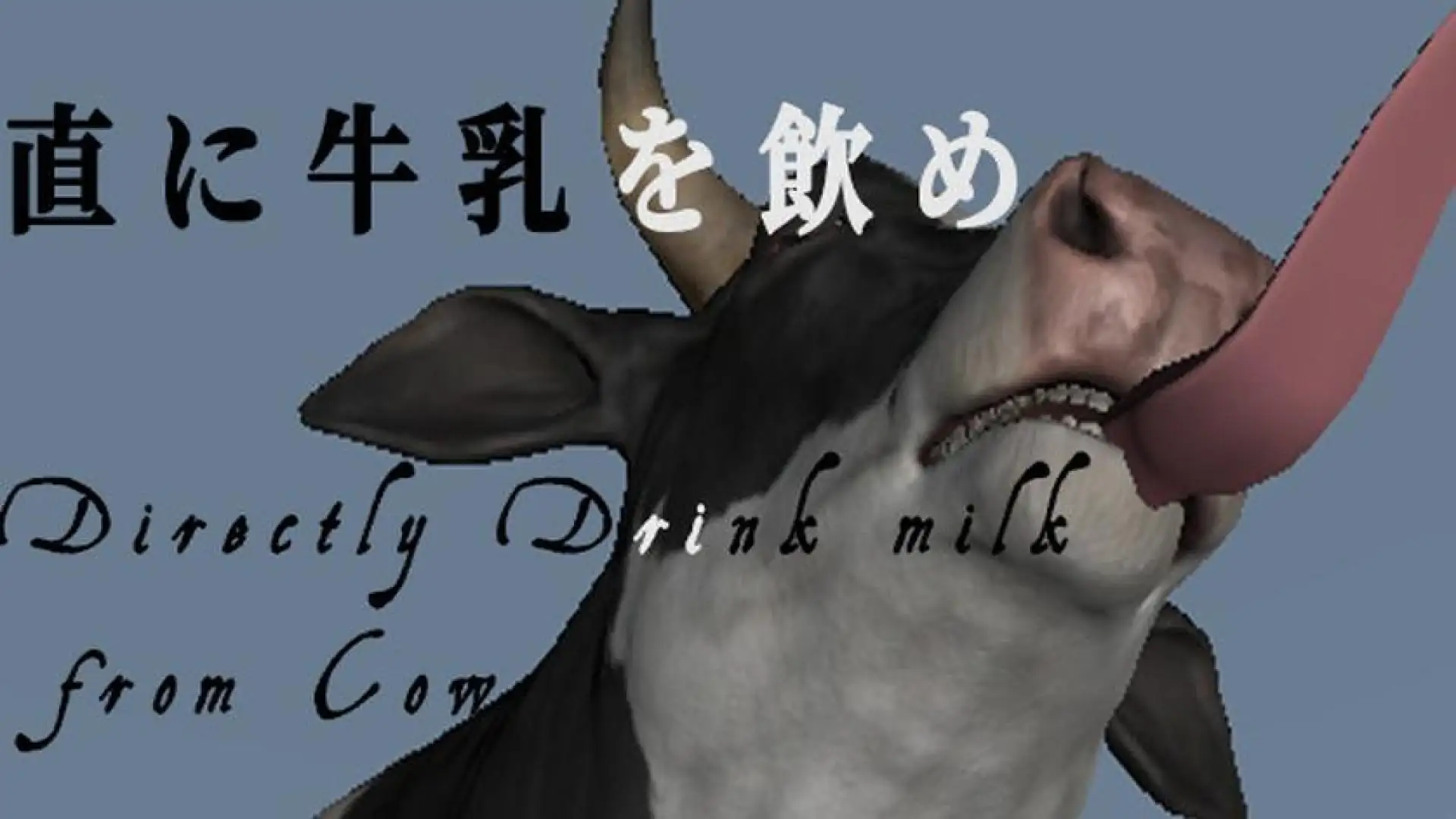 Directly Drink Milk from Cow 【直に牛乳を飲め】