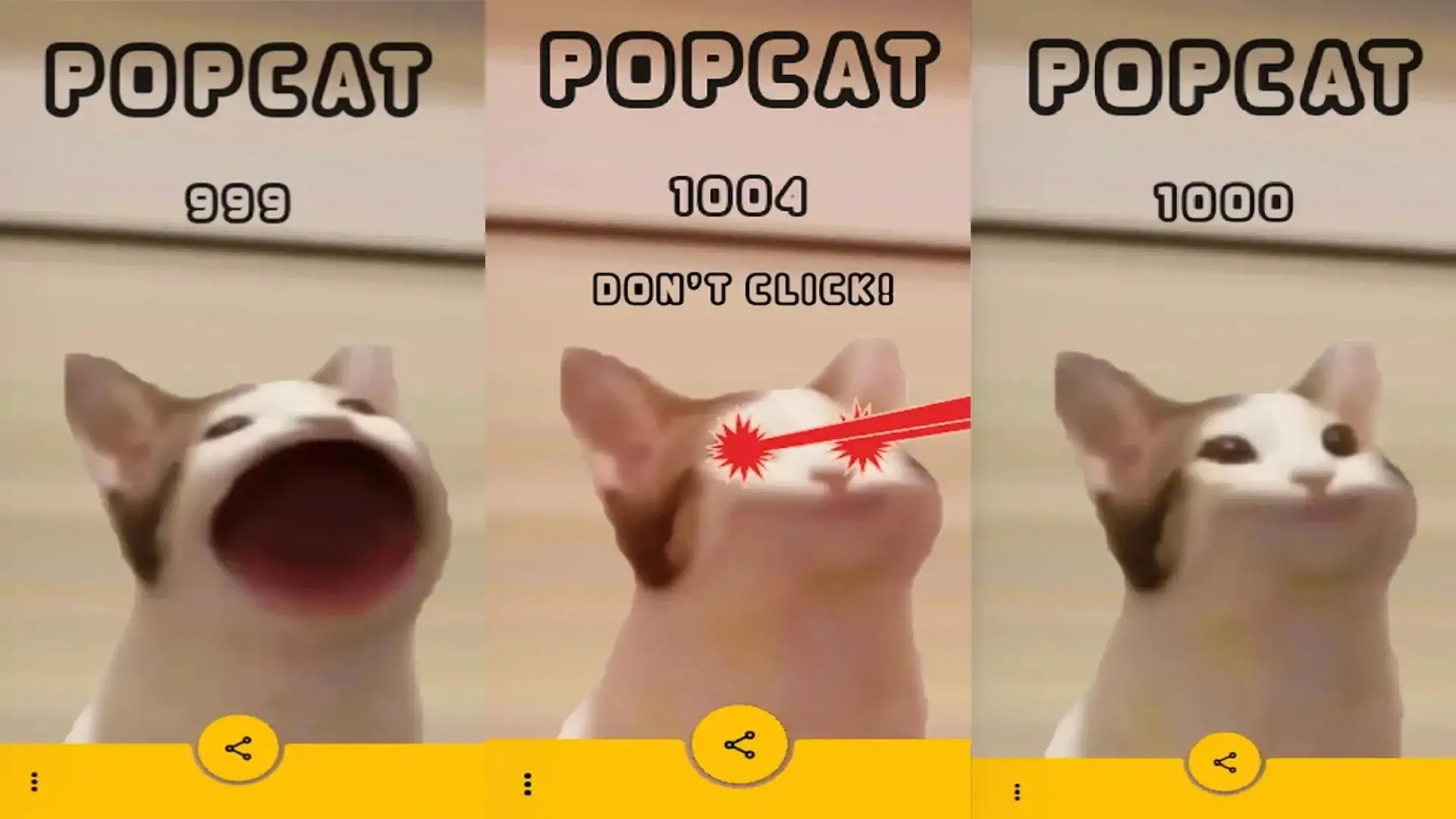 流行猫